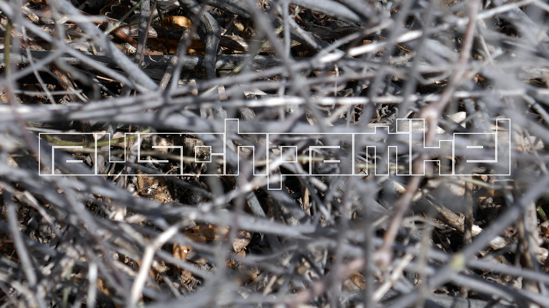 2022-04-22 Blaue Kammer (Foto)