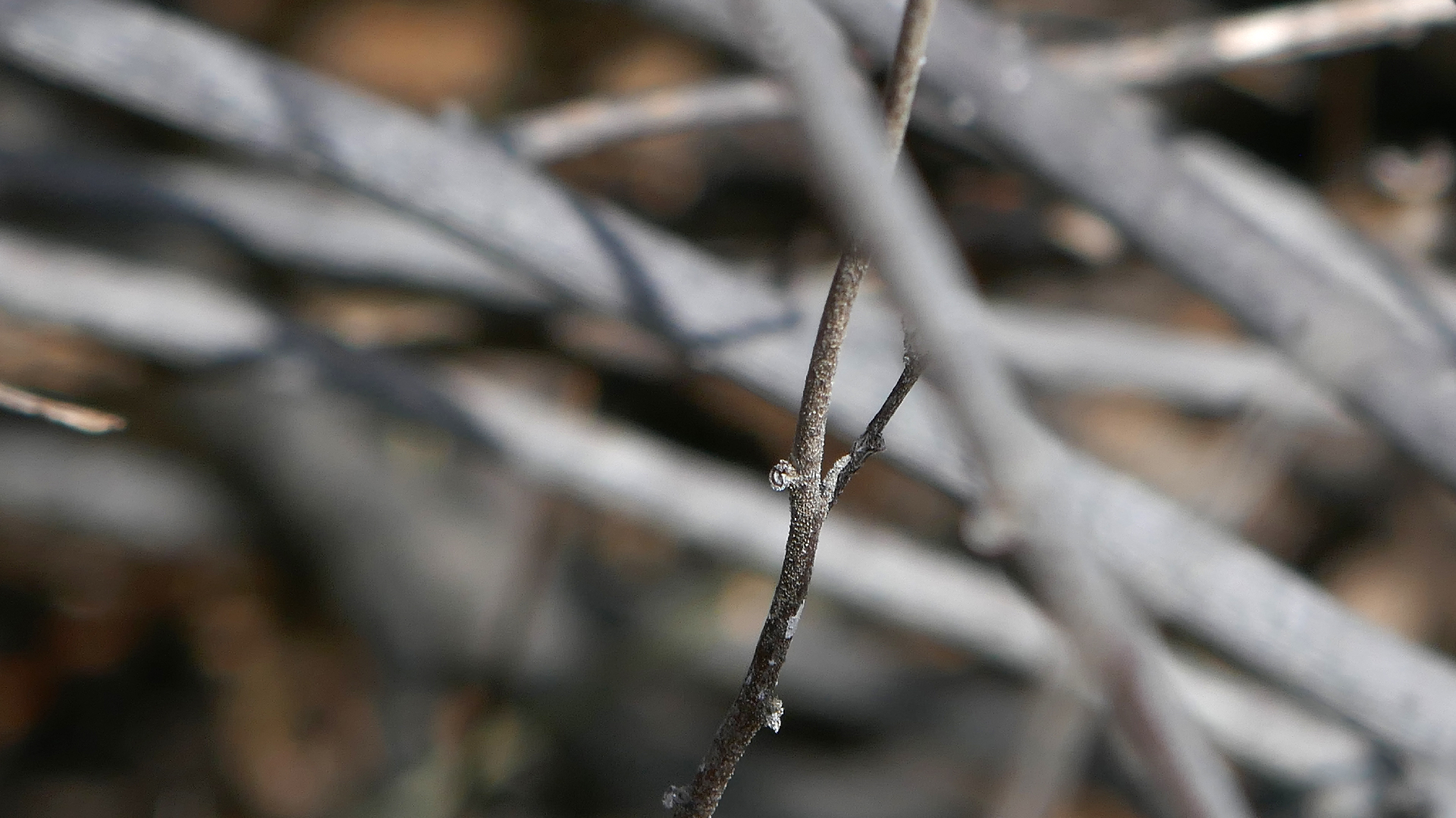 2022-04-22 Blaue Kammer (Foto)