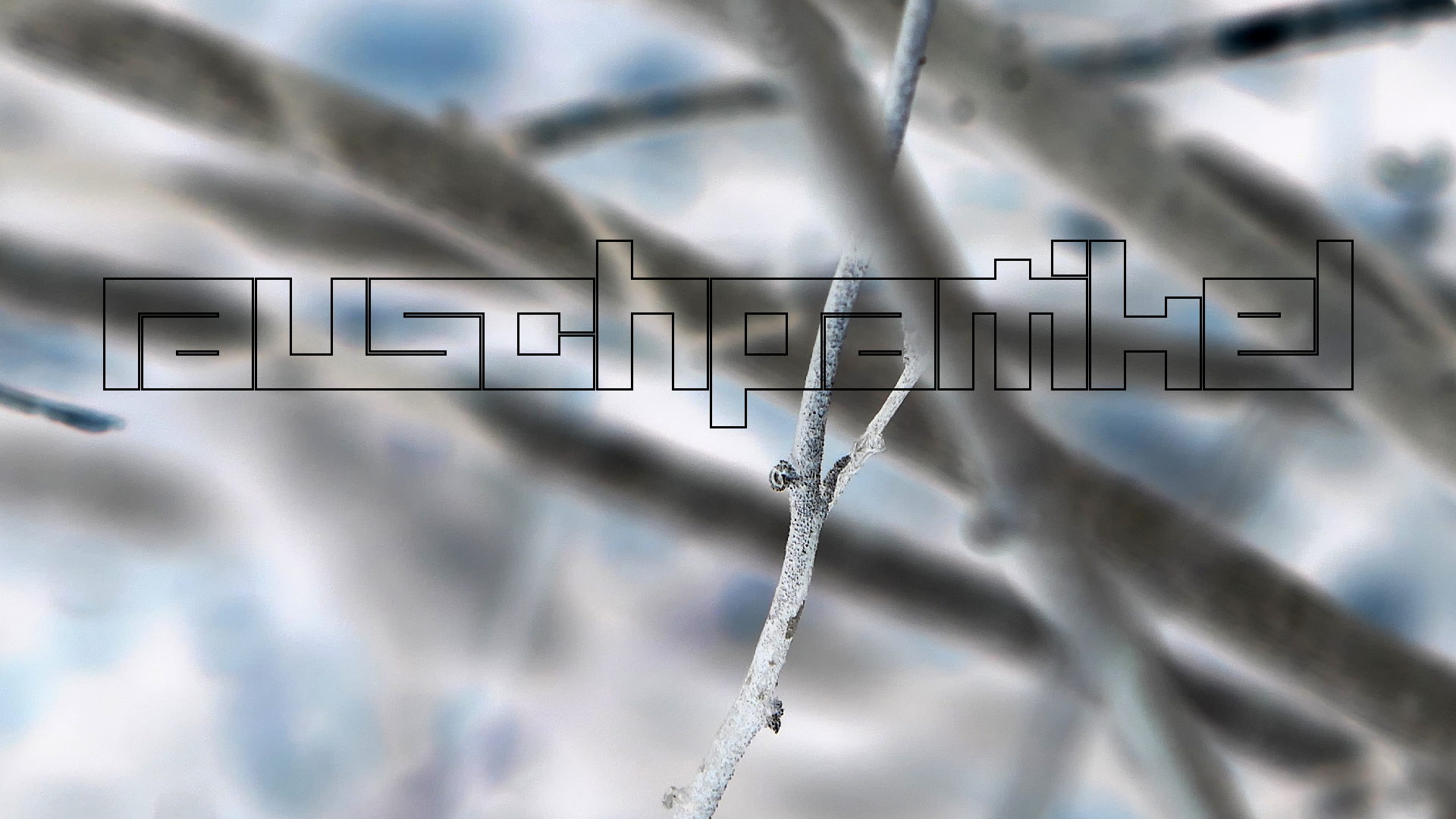 2022-04-22 Blaue Kammer (Foto)