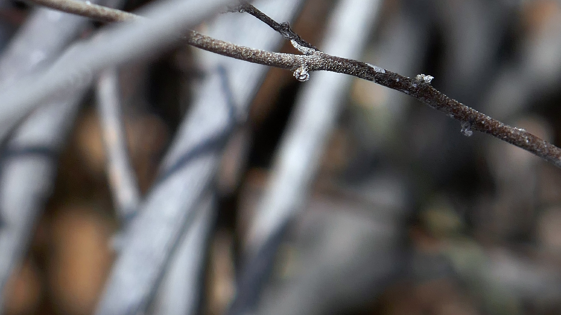 2022-04-22 Blaue Kammer (Foto)