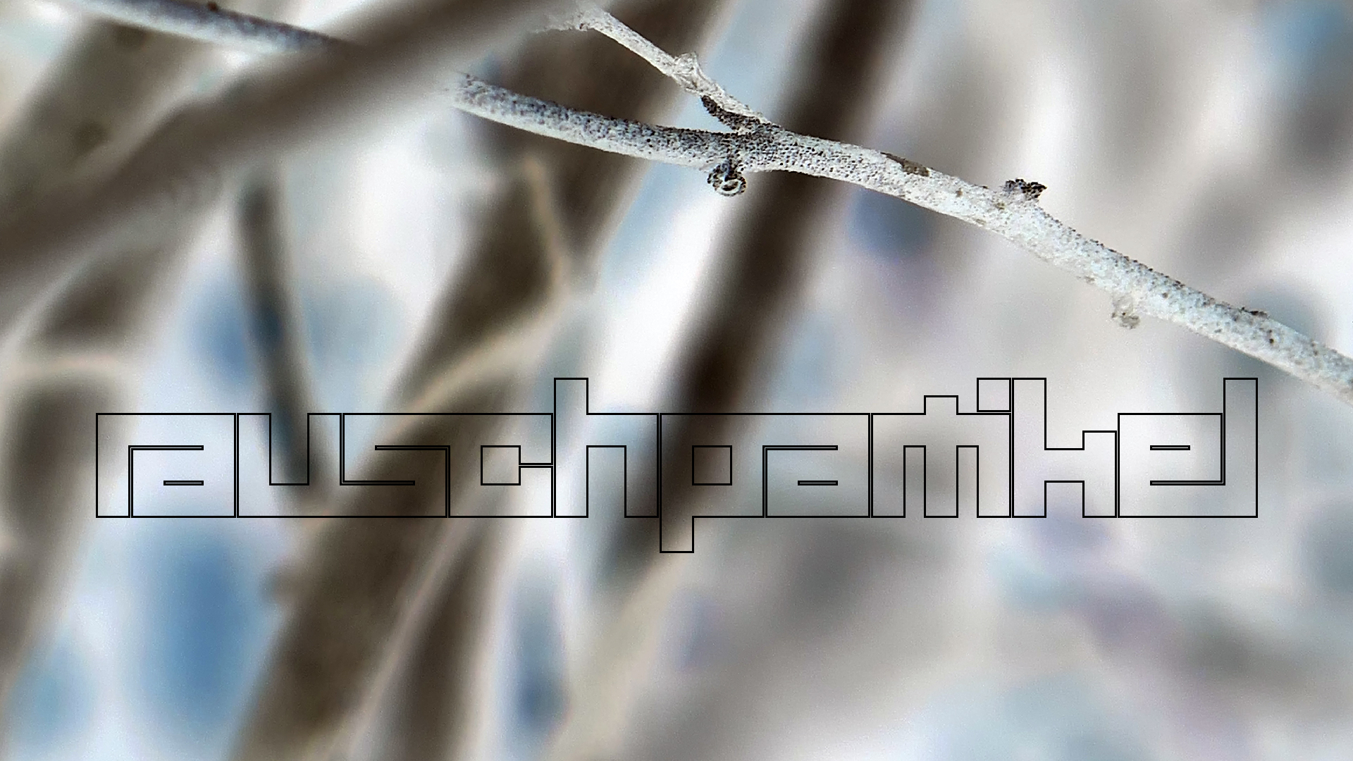 2022-04-22 Blaue Kammer (Foto)