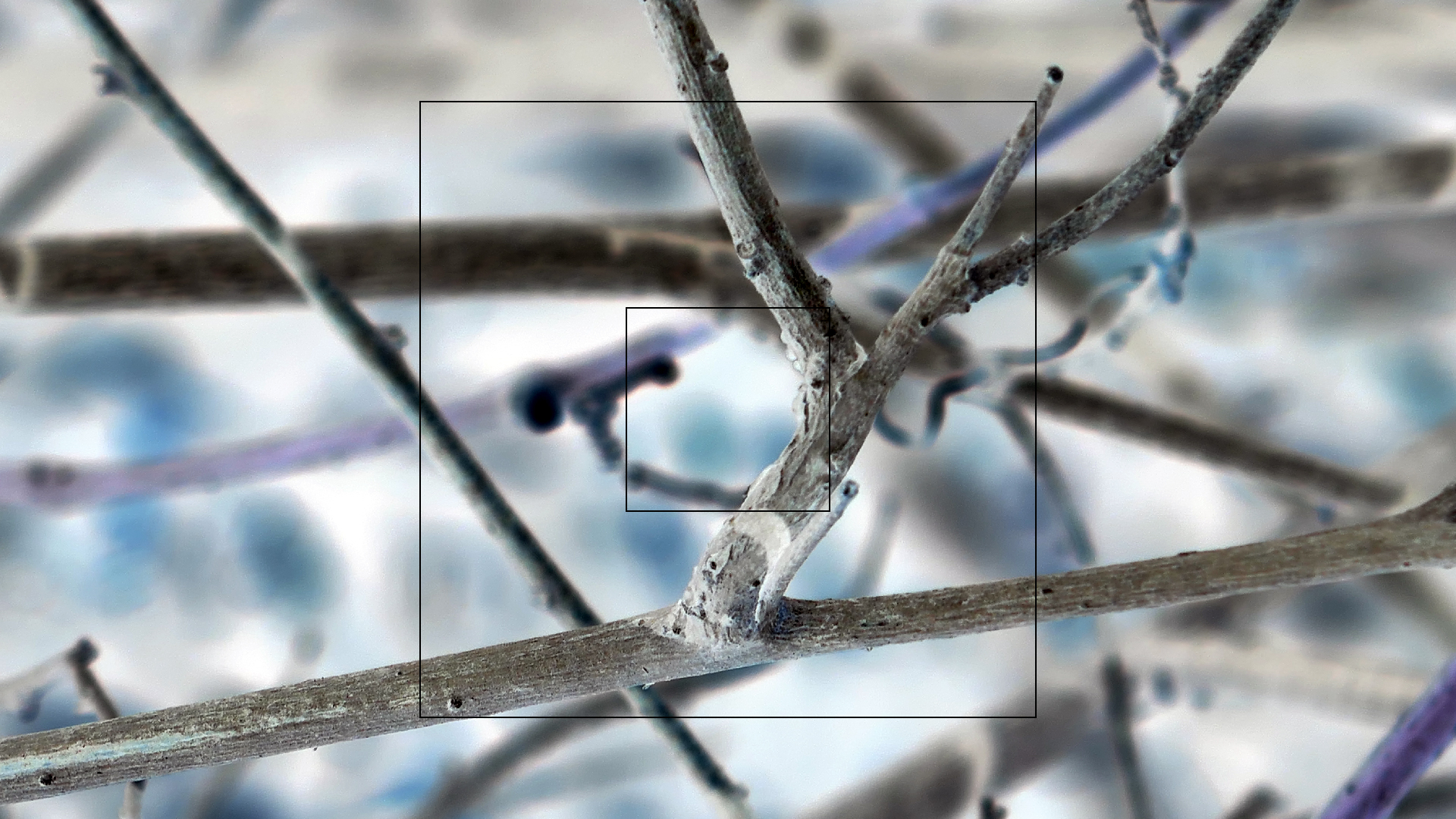 2022-04-22 Blaue Kammer (Foto)