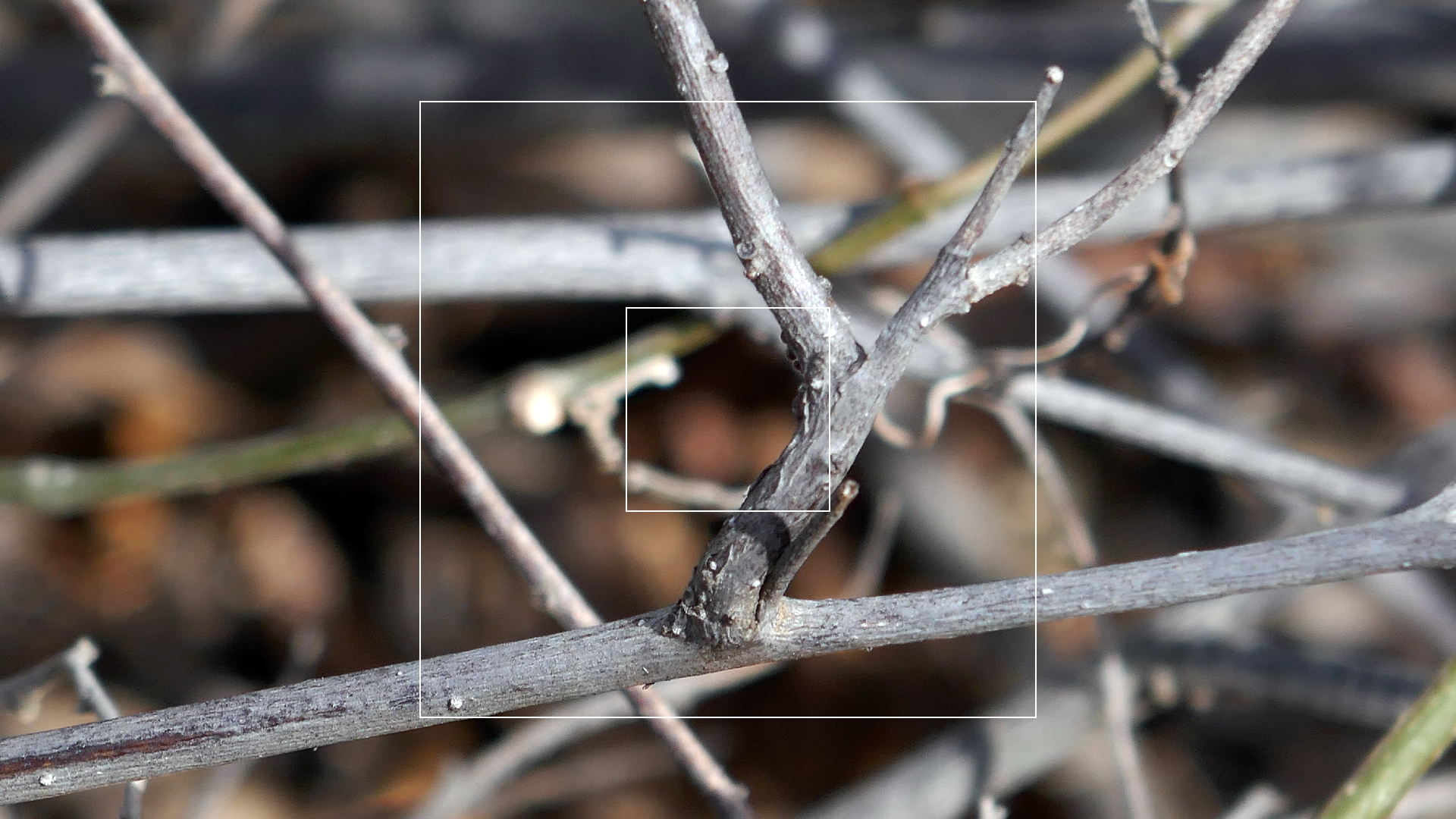 2022-04-22 Blaue Kammer (Foto)