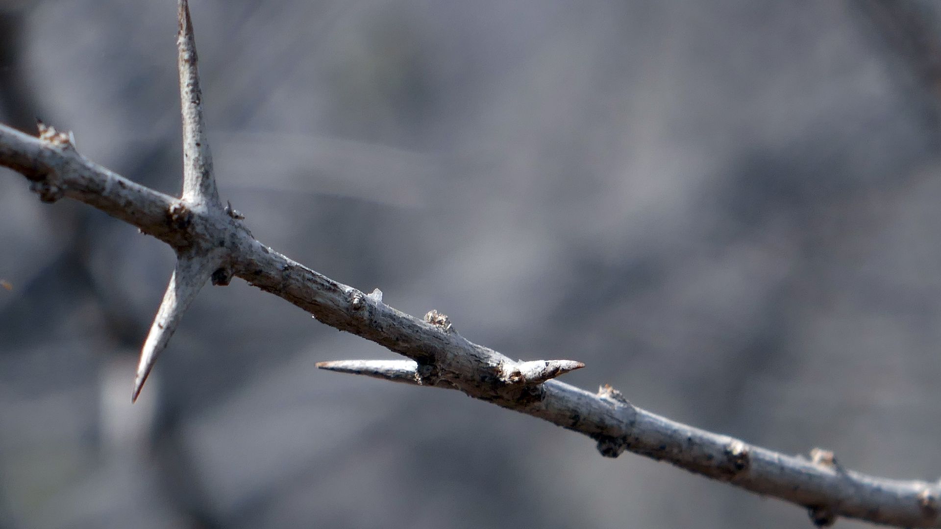 2022-04-22 Blaue Kammer (Foto)