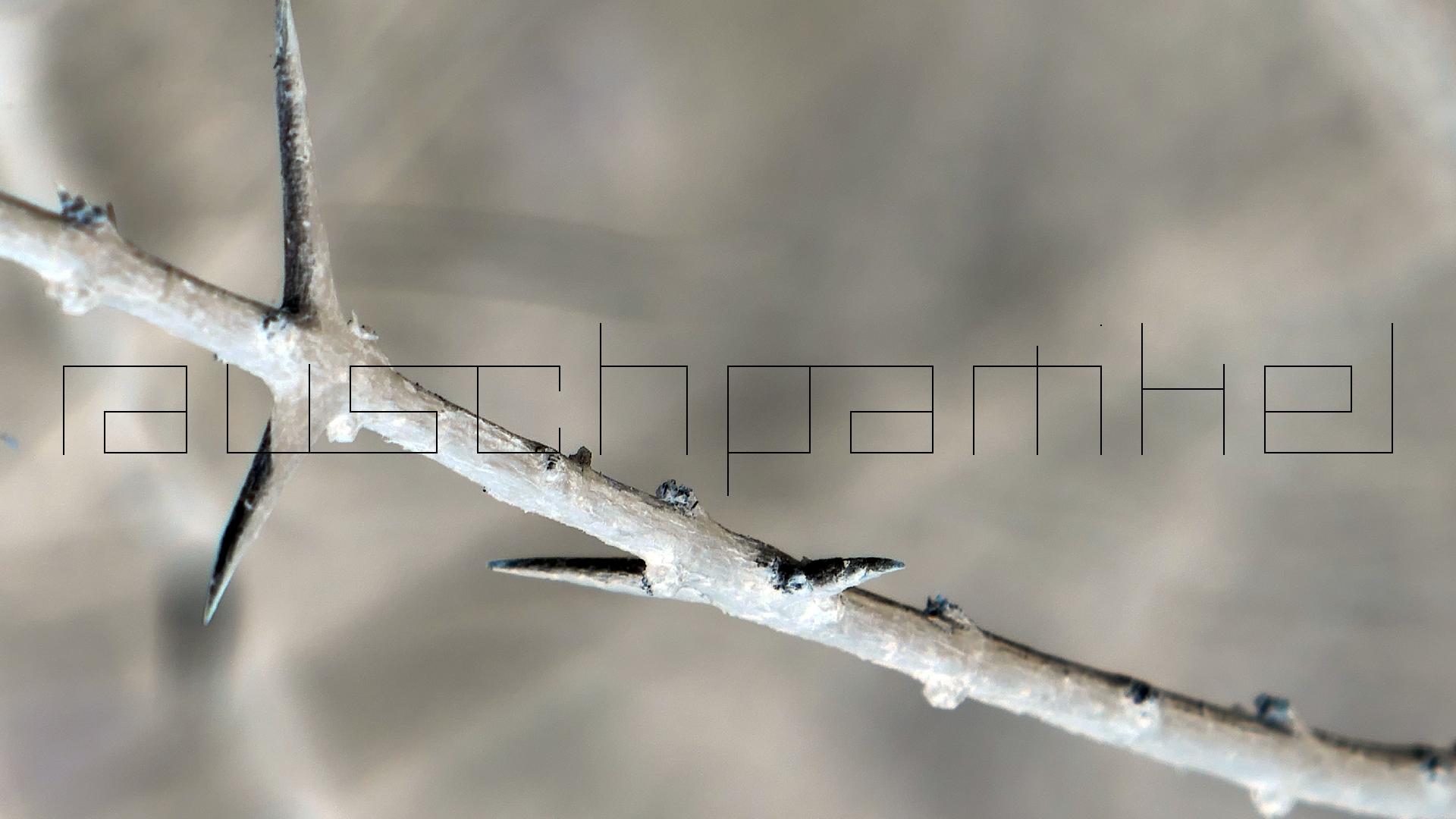 2022-04-22 Blaue Kammer (Foto)