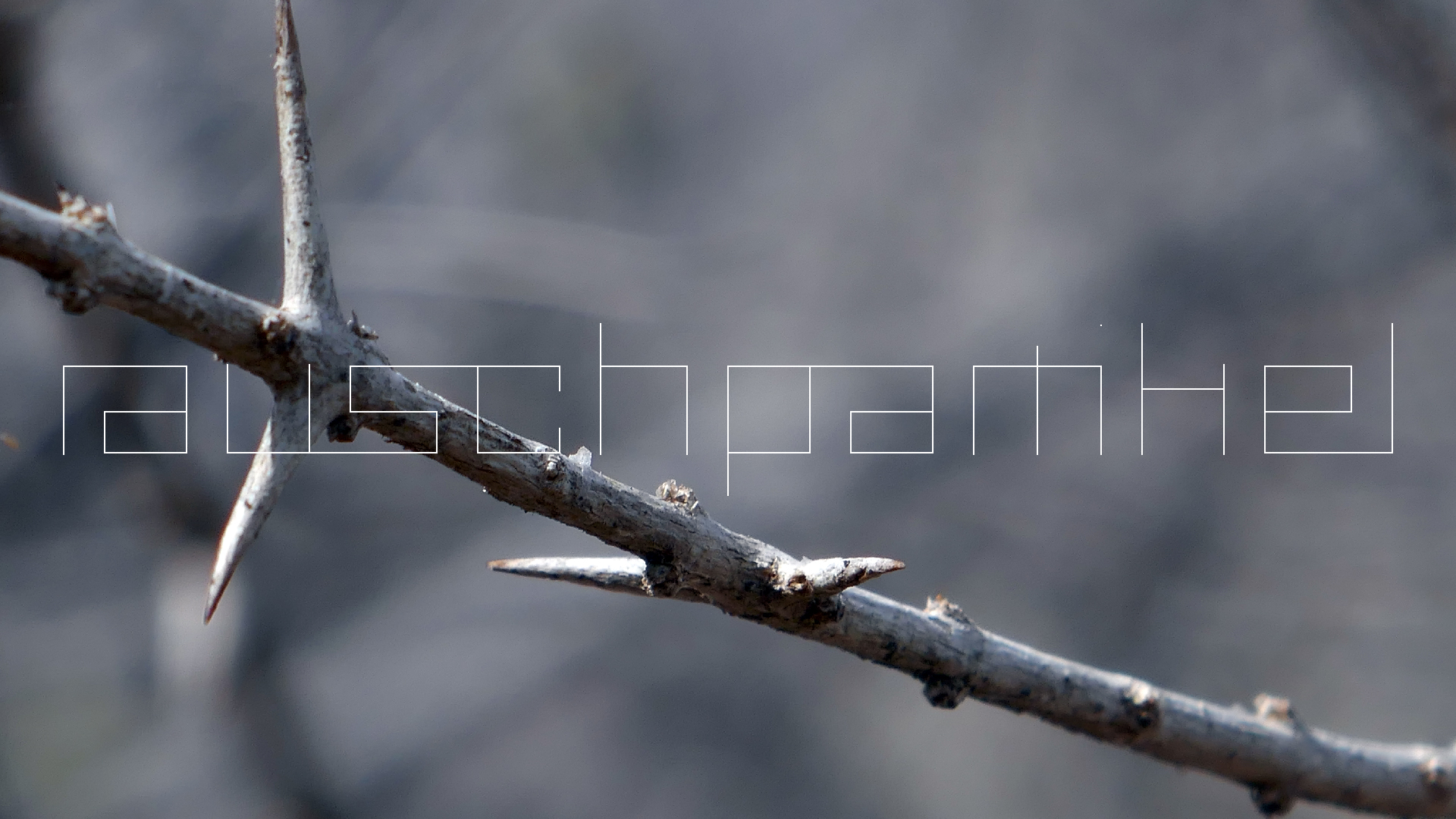 2022-04-22 Blaue Kammer (Foto)