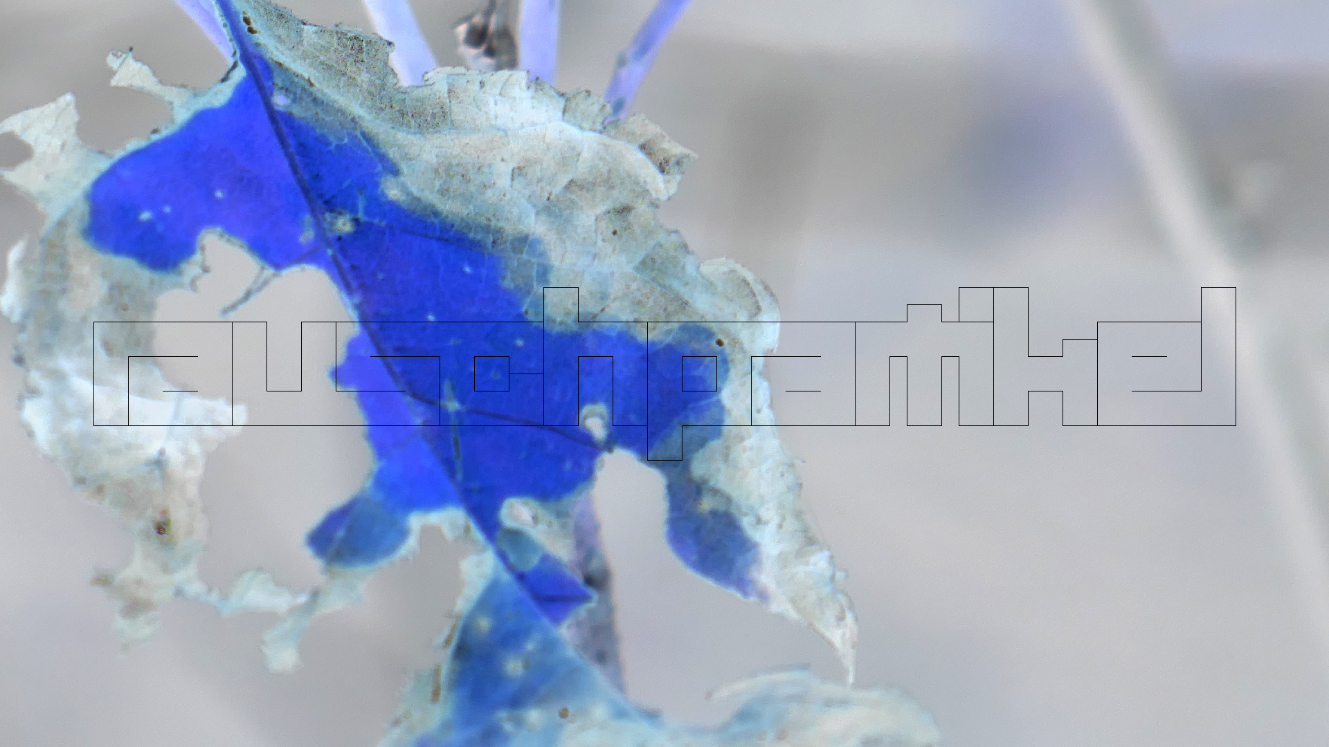 2022-04-22 Blaue Kammer (Foto)