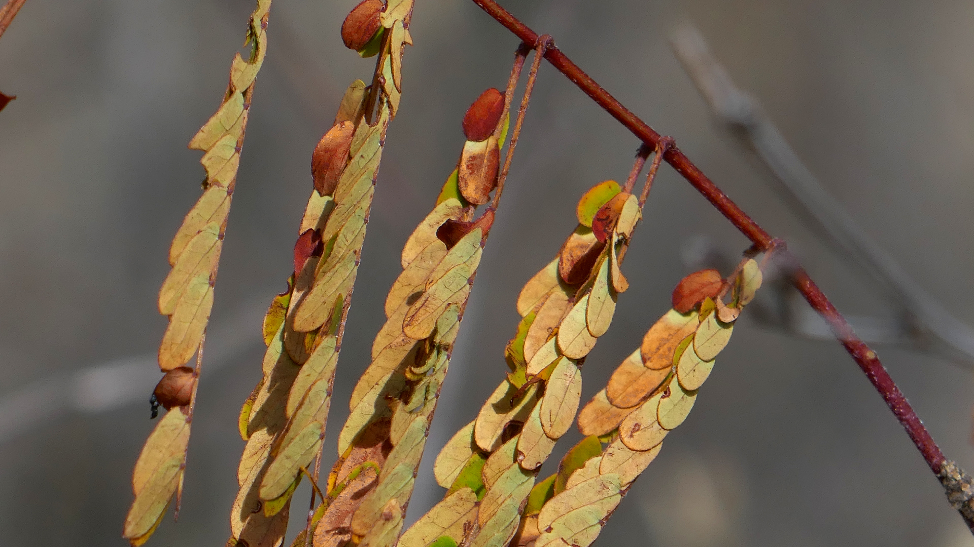 2022-04-22 Blaue Kammer (Foto)