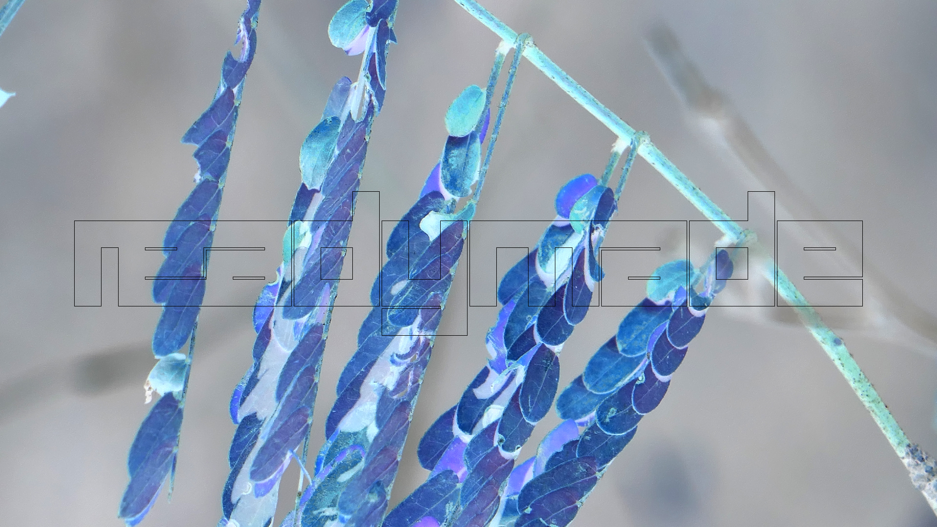 2022-04-22 Blaue Kammer (Foto)