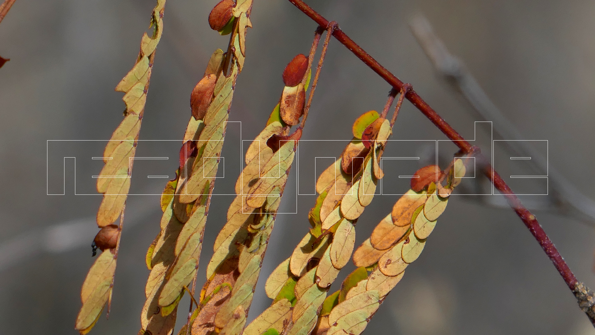 2022-04-22 Blaue Kammer (Foto)