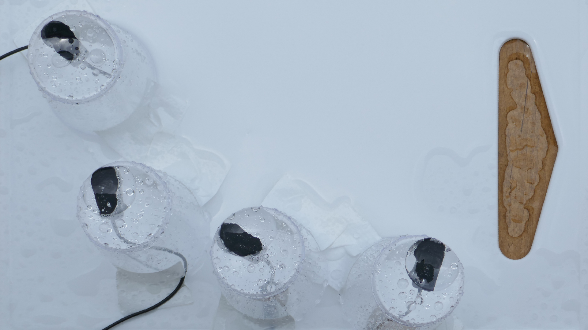 2022-04-23 10Uhr30 Das Kleine Regen Rhythmus Orchester - Plastebecher (Audio, Foto)