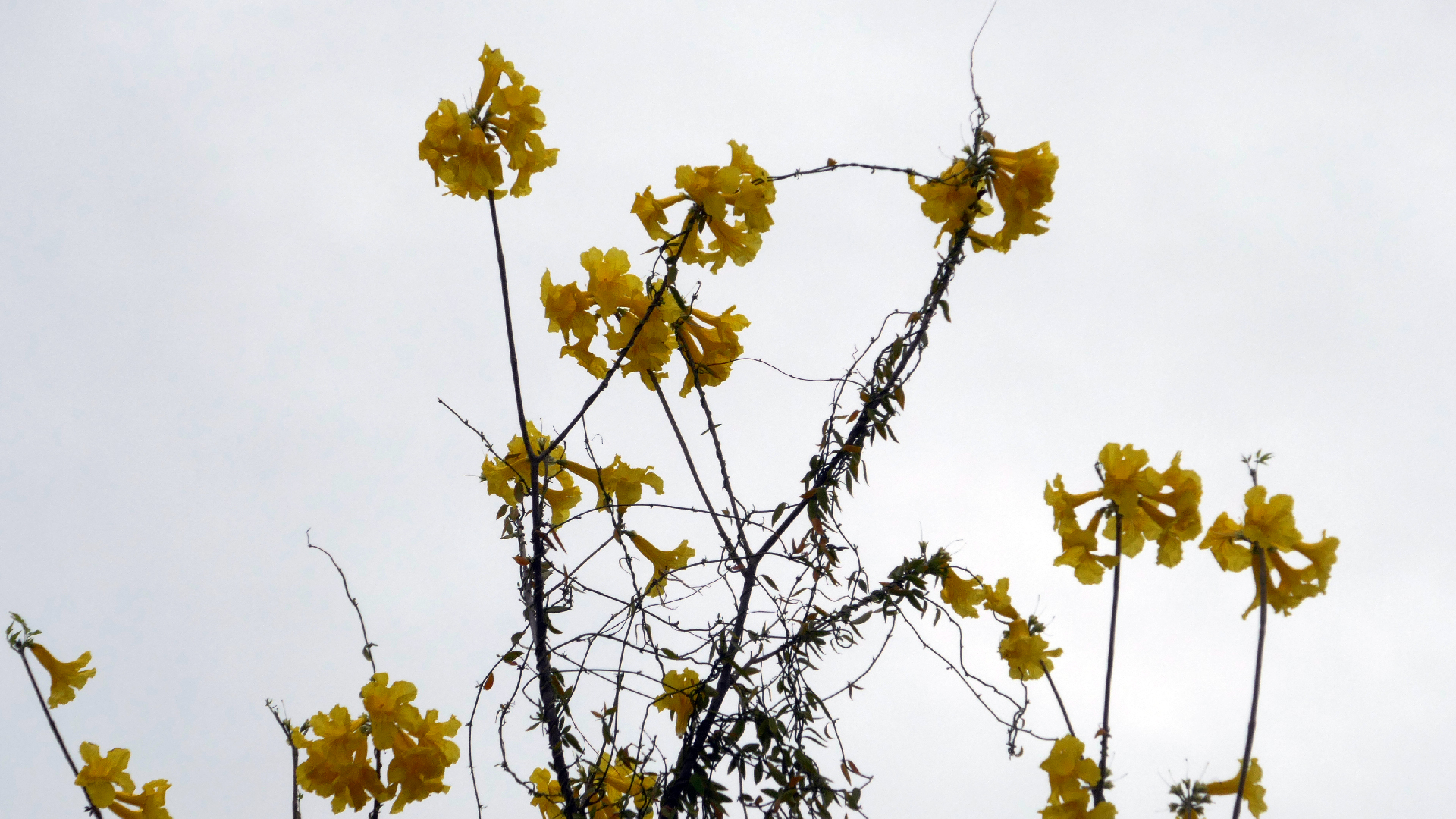 2022-04-23 Shete Boka Nationalpark (Foto, Video)