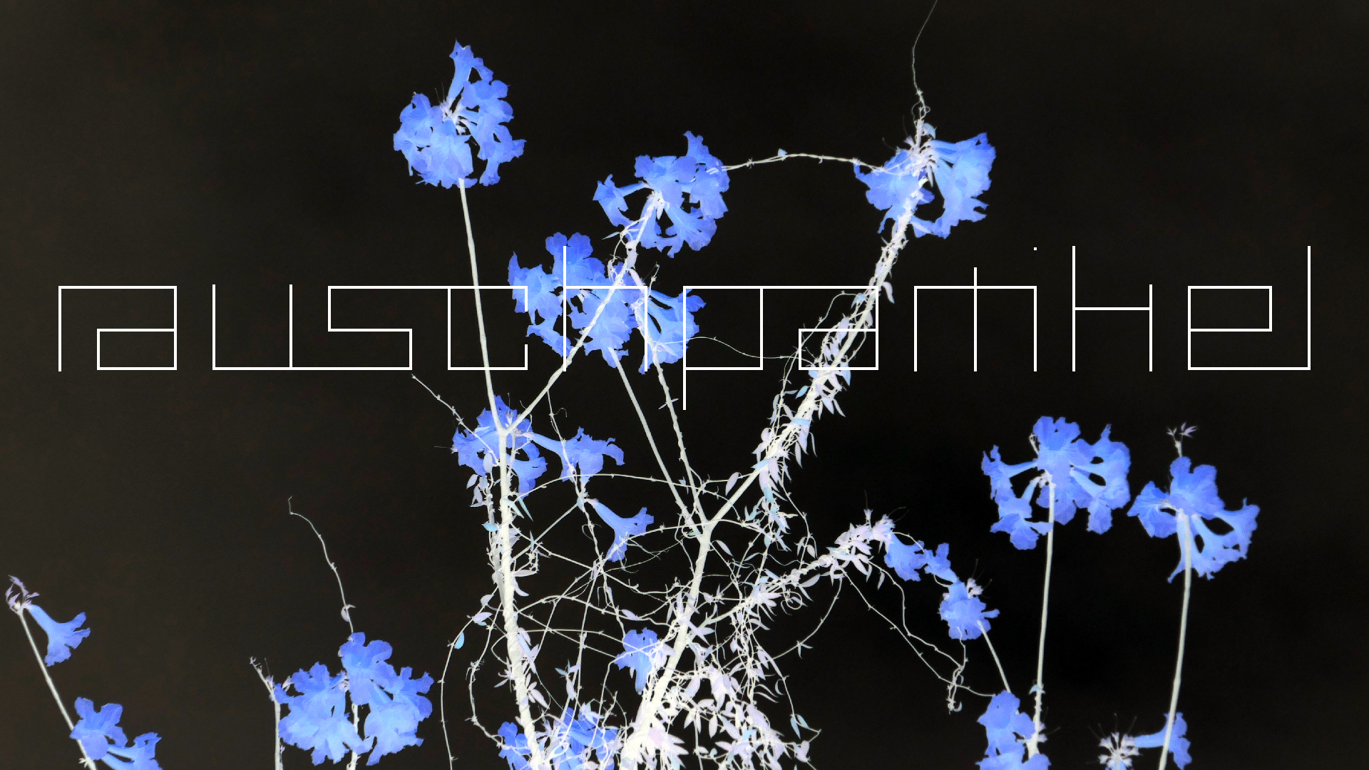 2022-04-23 Shete Boka Nationalpark (Foto, Video)