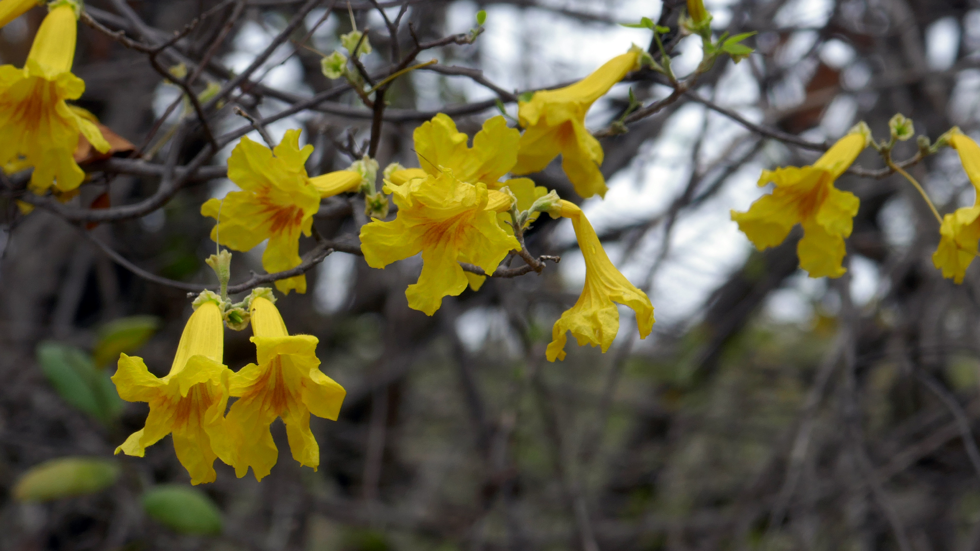 2022-04-23 Shete Boka Nationalpark (Foto, Video)