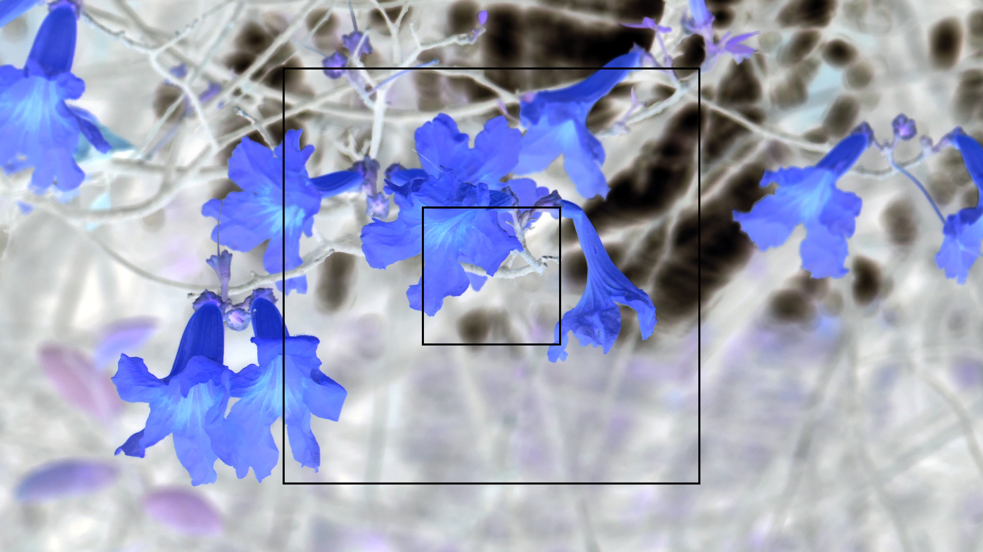 2022-04-23 Shete Boka Nationalpark (Foto, Video)