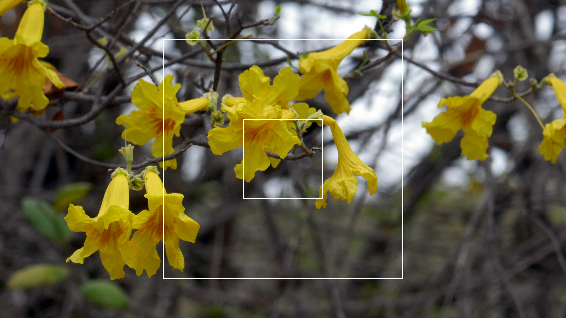 2022-04-23 Shete Boka Nationalpark (Foto, Video)