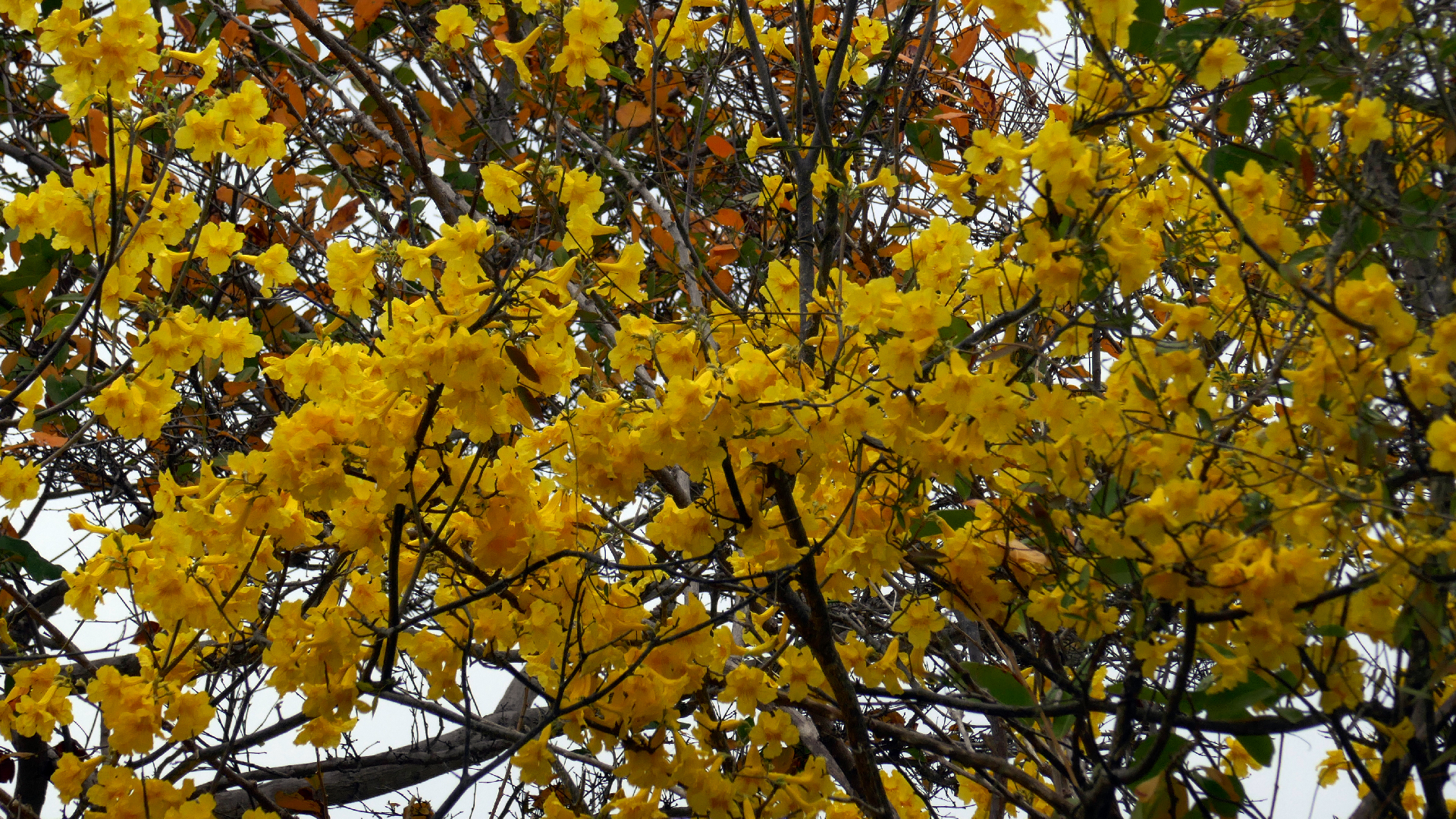 2022-04-23 Shete Boka Nationalpark (Foto, Video)