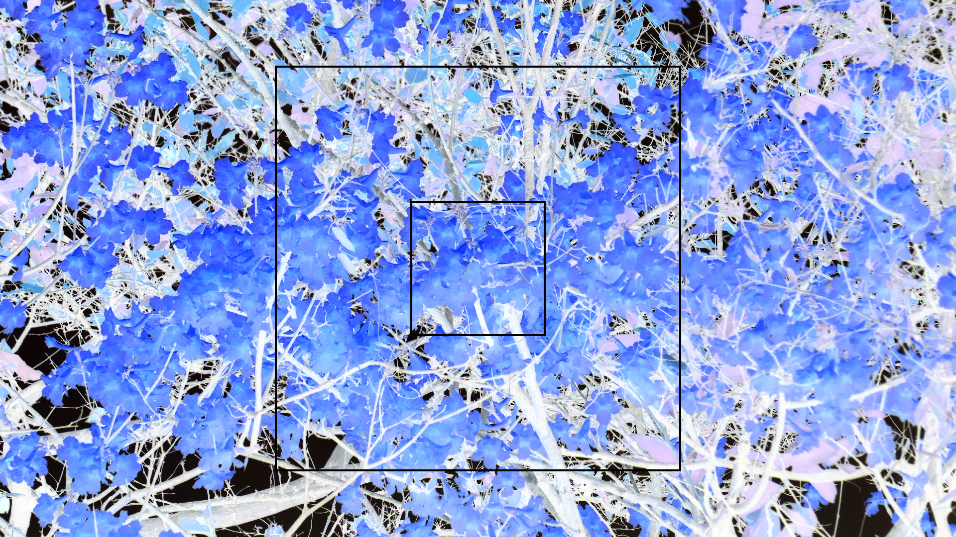 2022-04-23 Shete Boka Nationalpark (Foto, Video)