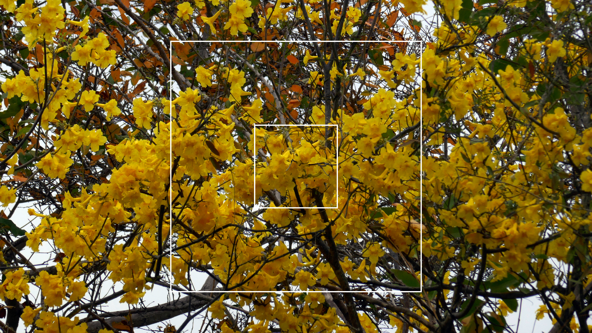 2022-04-23 Shete Boka Nationalpark (Foto, Video)