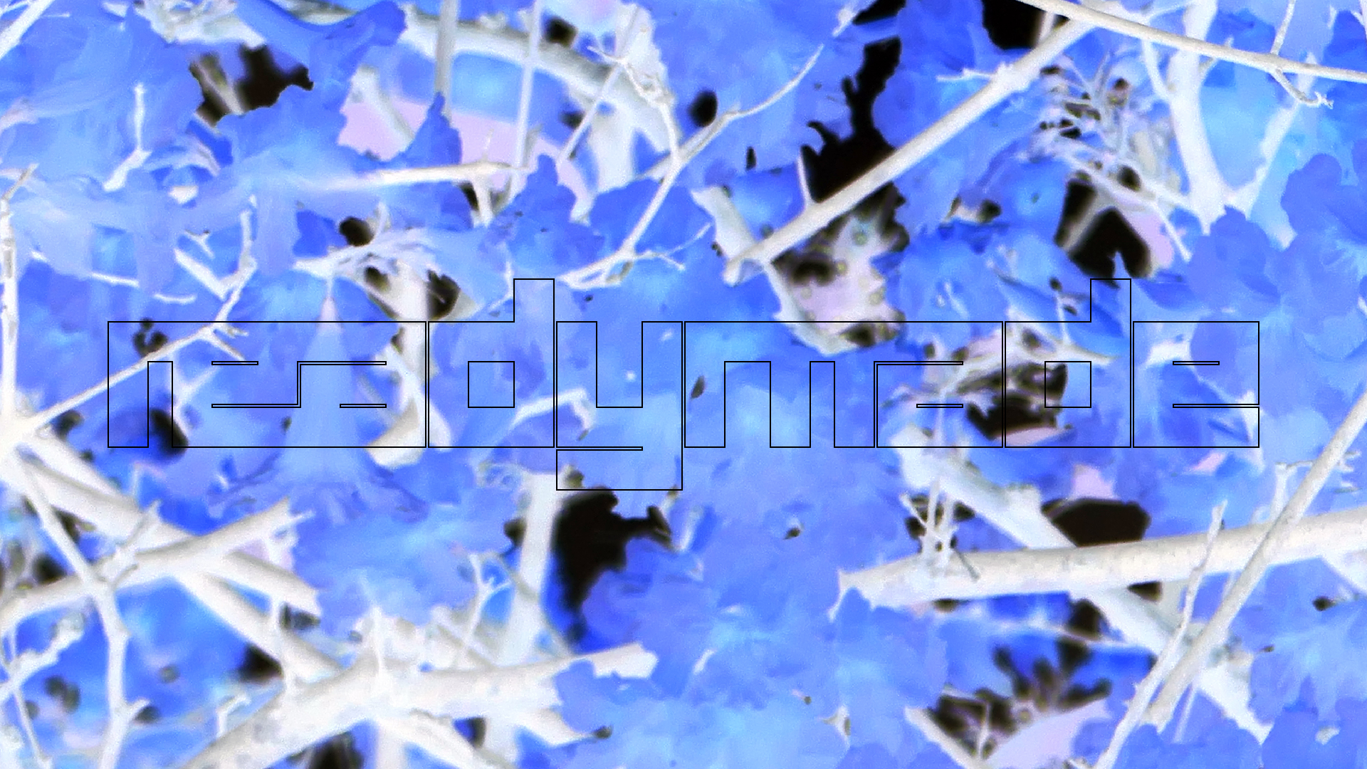 2022-04-23 Shete Boka Nationalpark (Foto, Video)