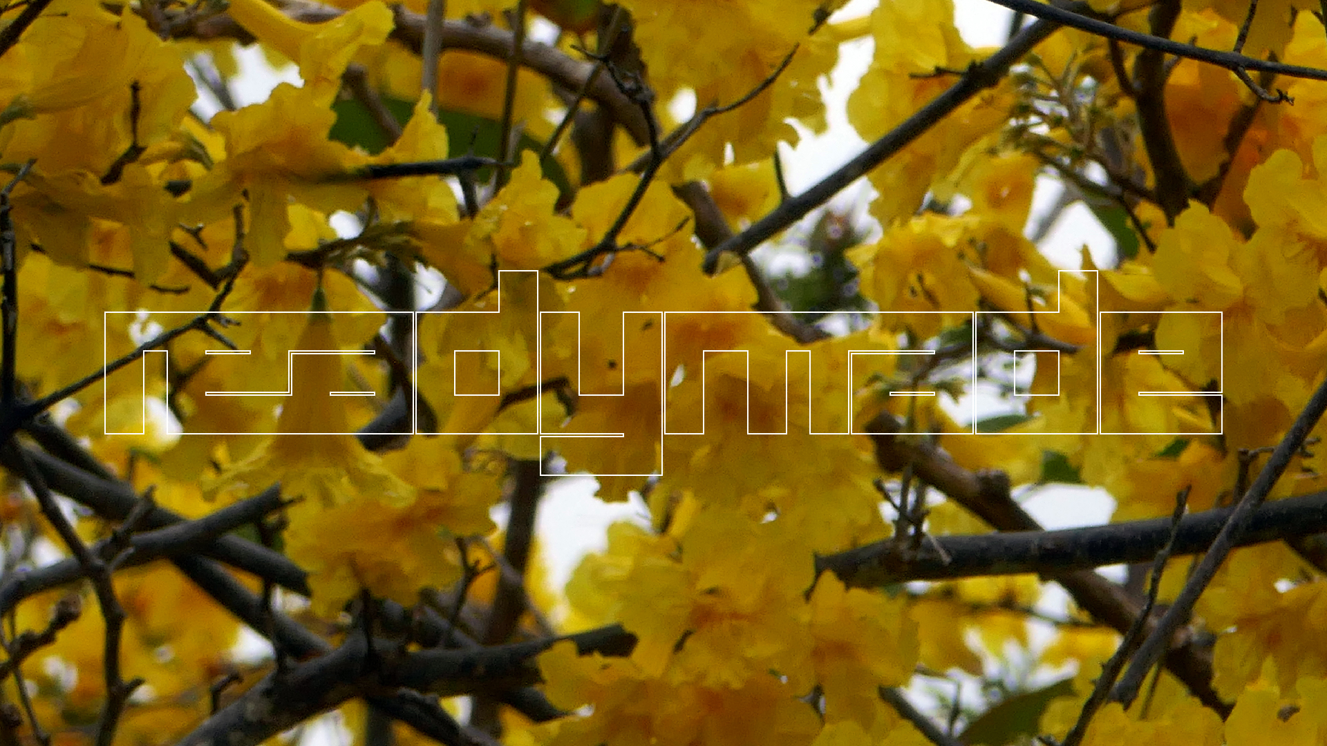 2022-04-23 Shete Boka Nationalpark (Foto, Video)