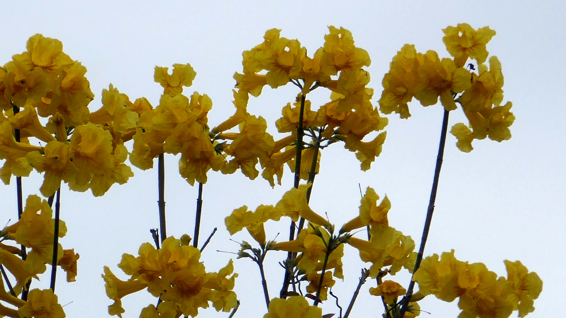 2022-04-23 Shete Boka Nationalpark (Foto, Video)