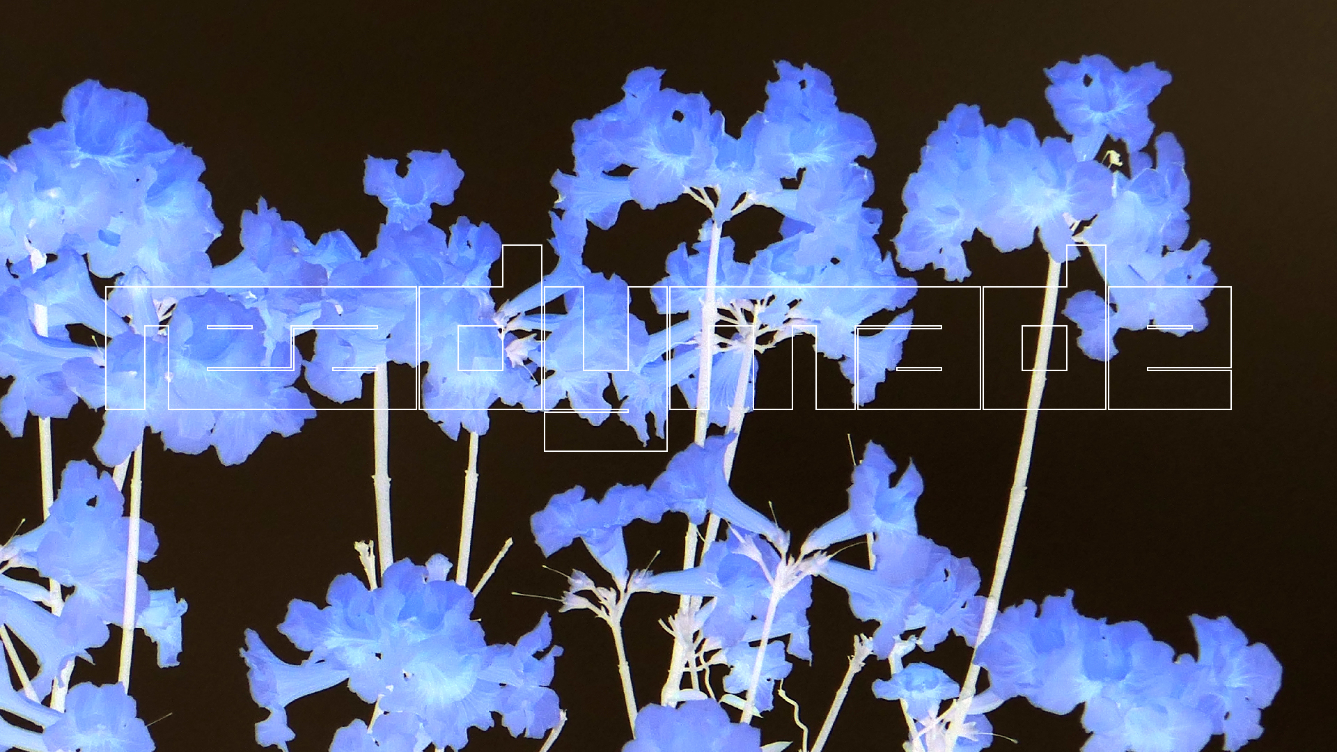 2022-04-23 Shete Boka Nationalpark (Foto, Video)