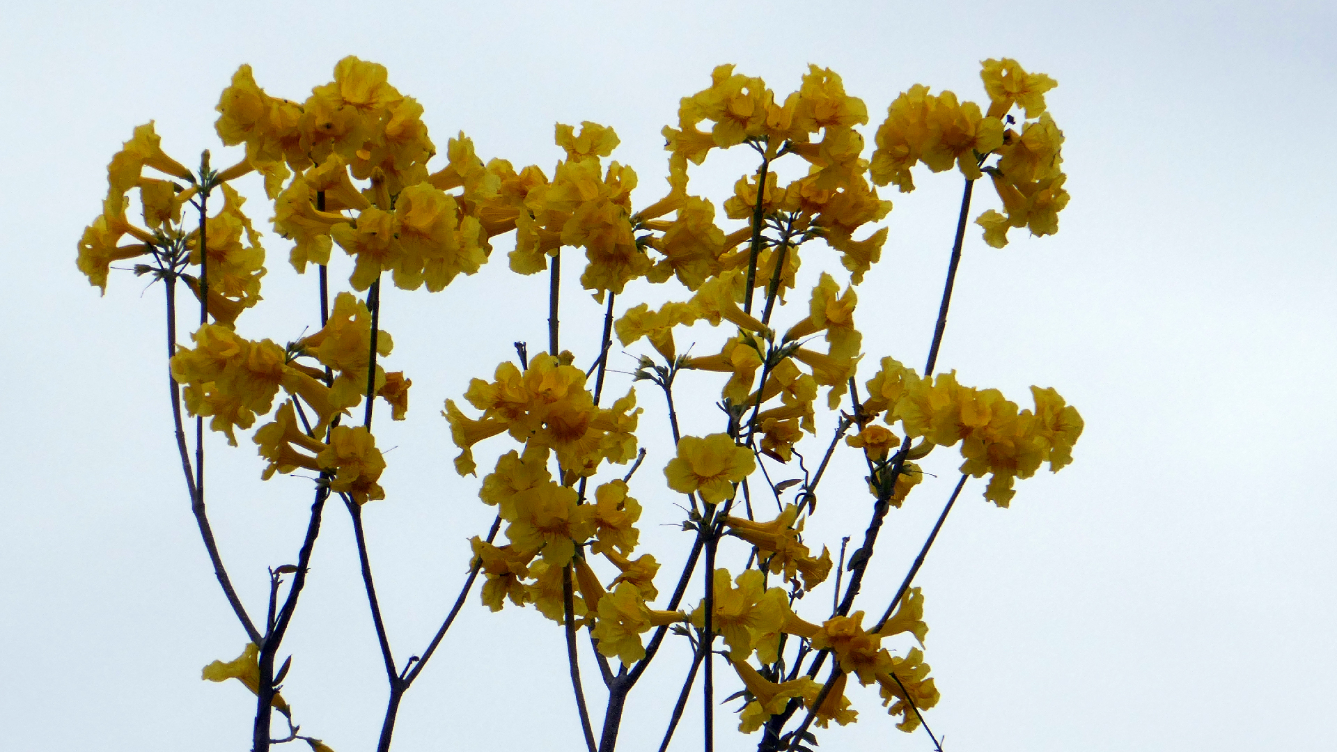 2022-04-23 Shete Boka Nationalpark (Foto, Video)