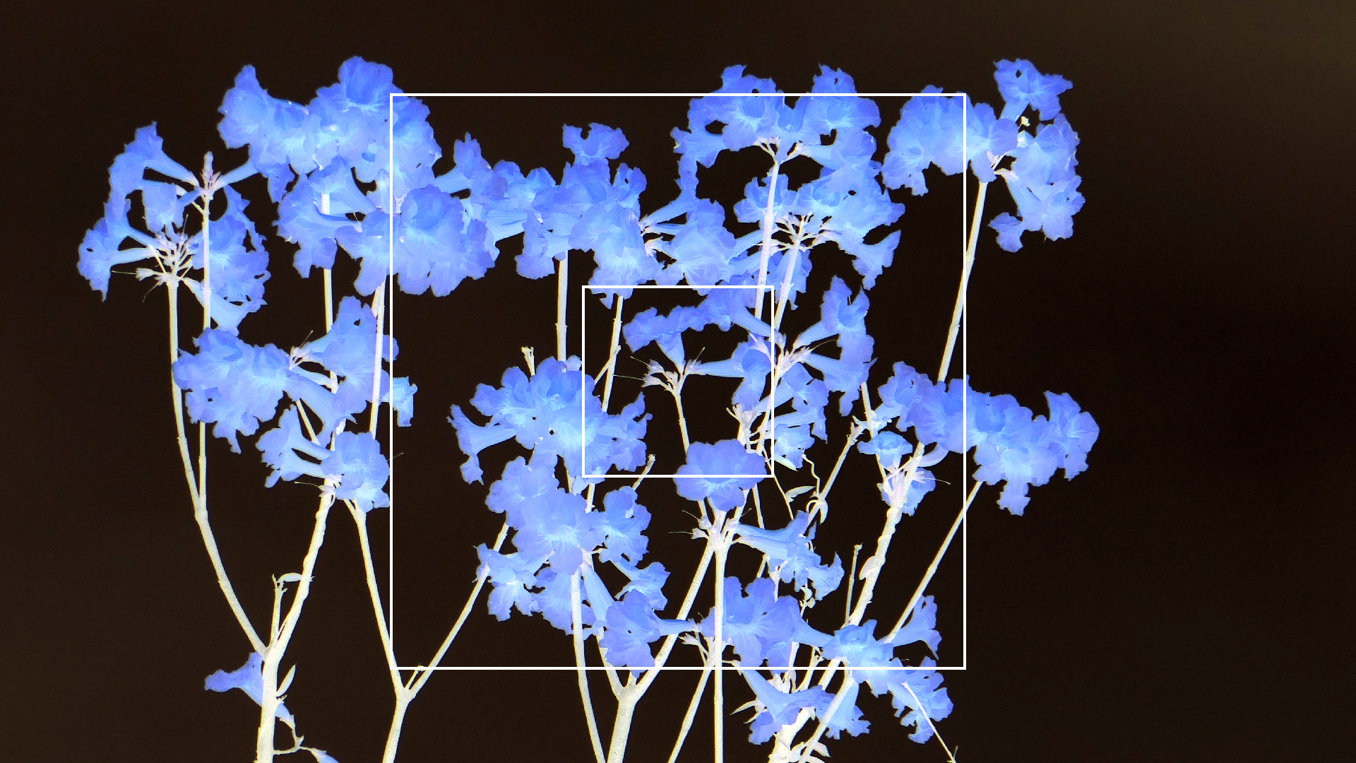 2022-04-23 Shete Boka Nationalpark (Foto, Video)