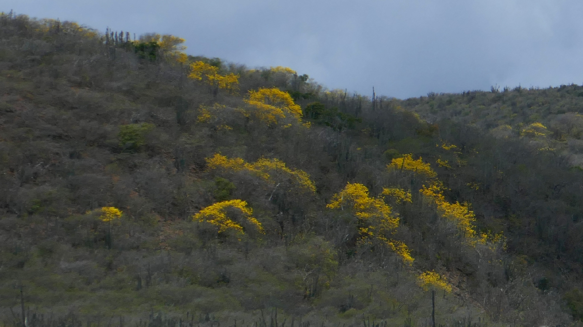 2022-04-23 Shete Boka Nationalpark (Foto, Video)