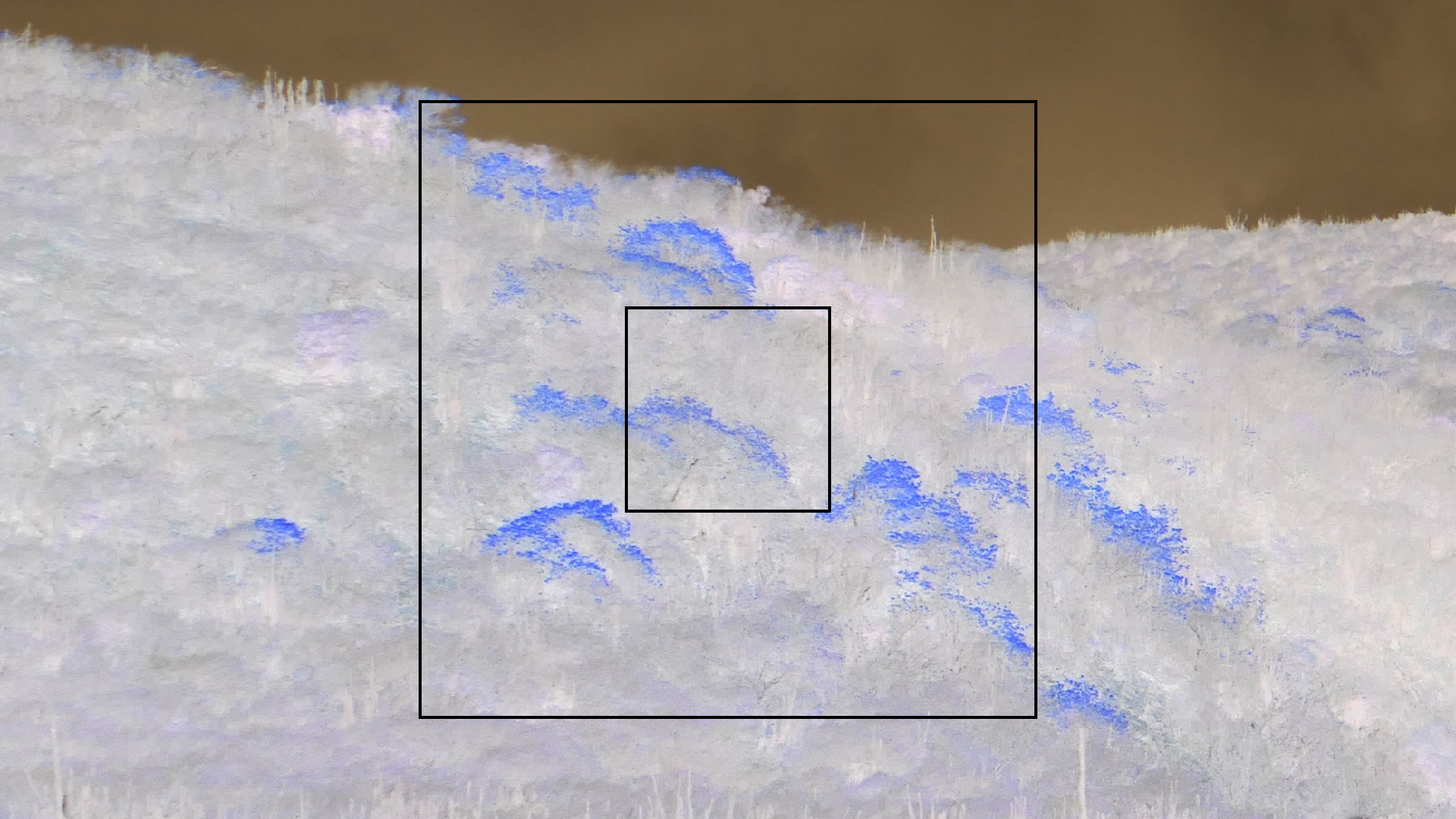 2022-04-23 Shete Boka Nationalpark (Foto, Video)