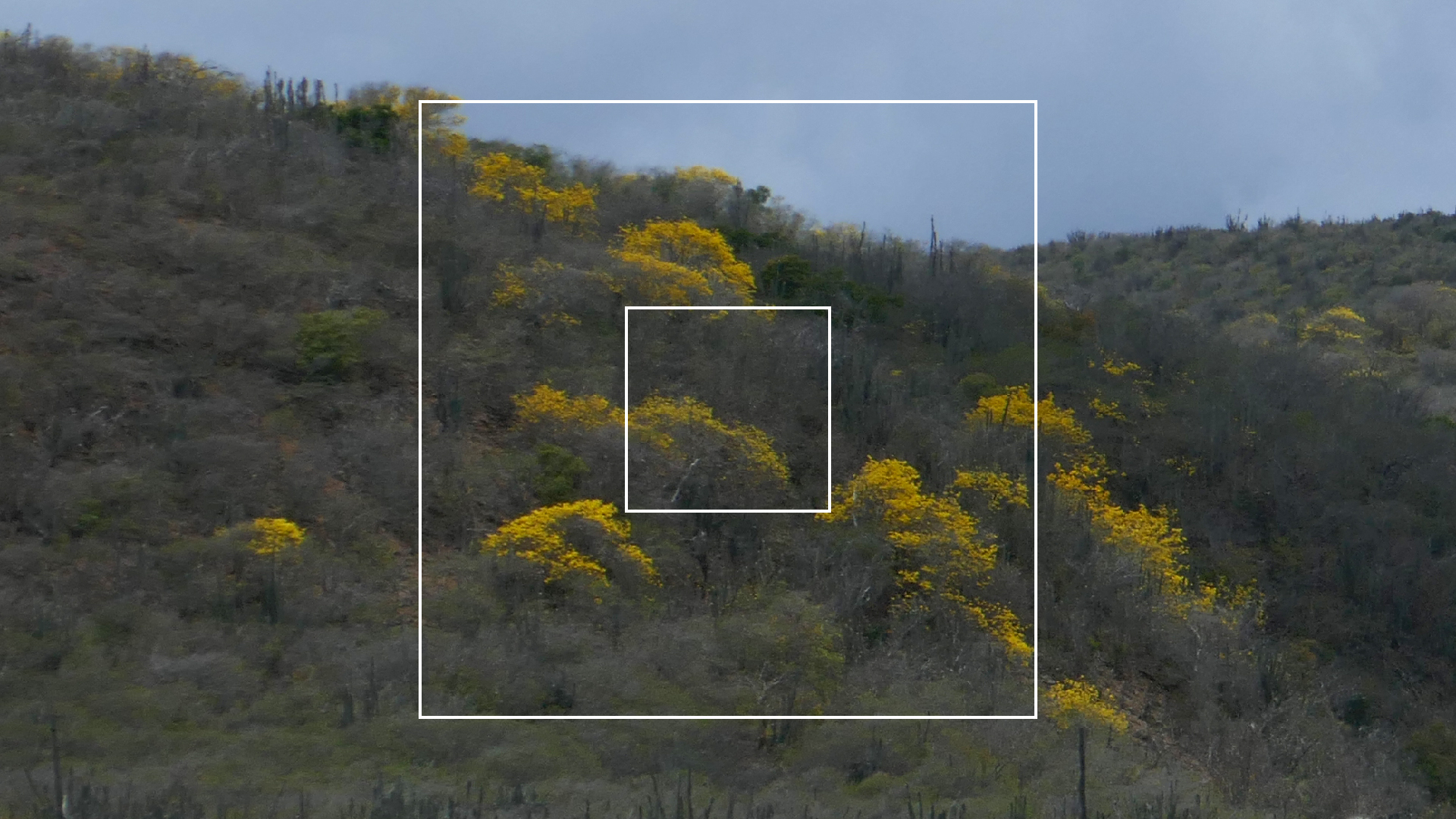 2022-04-23 Shete Boka Nationalpark (Foto, Video)