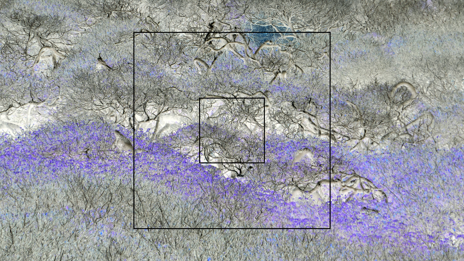 2022-04-23 Shete Boka Nationalpark (Foto, Video)