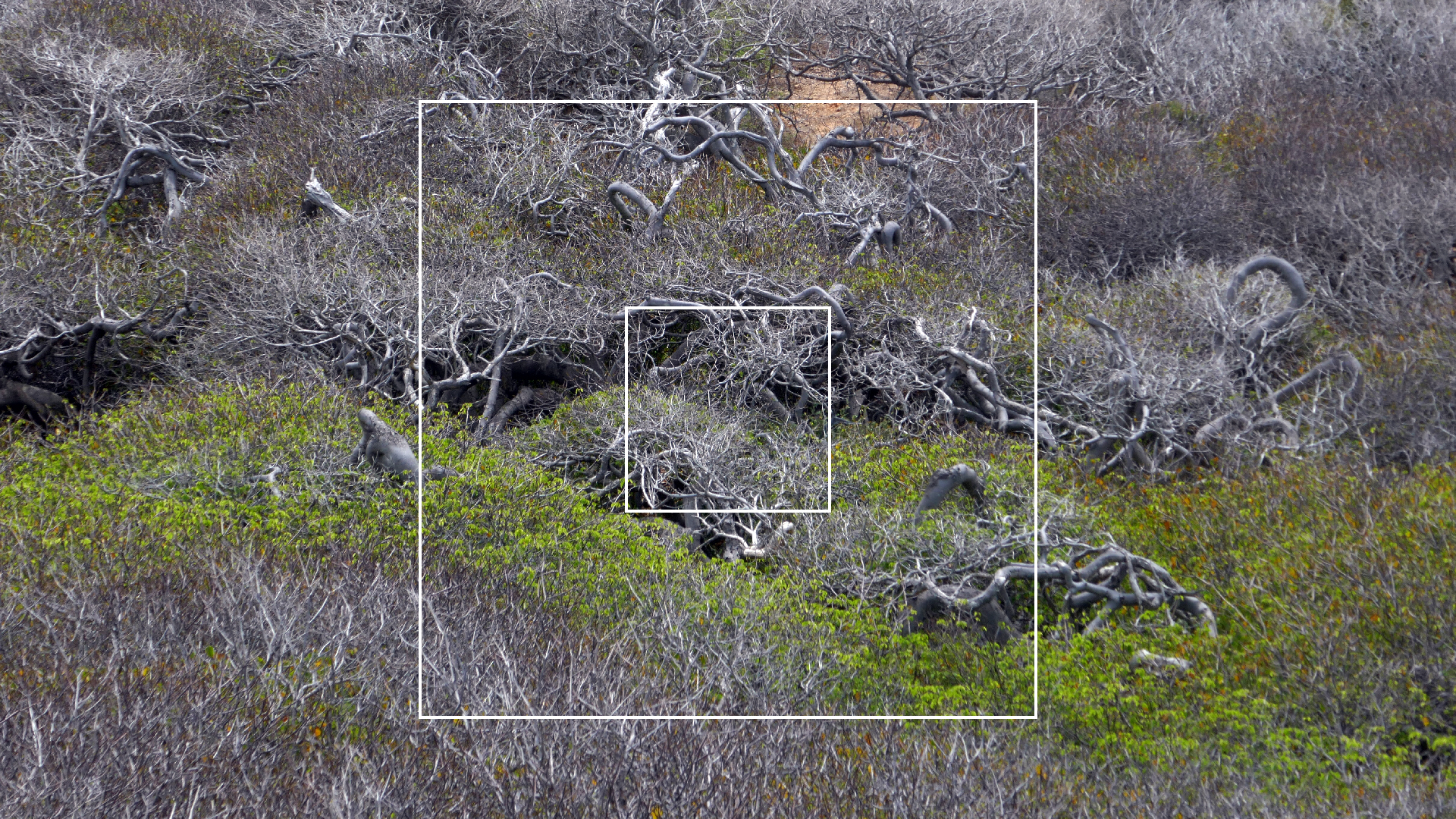 2022-04-23 Shete Boka Nationalpark (Foto, Video)