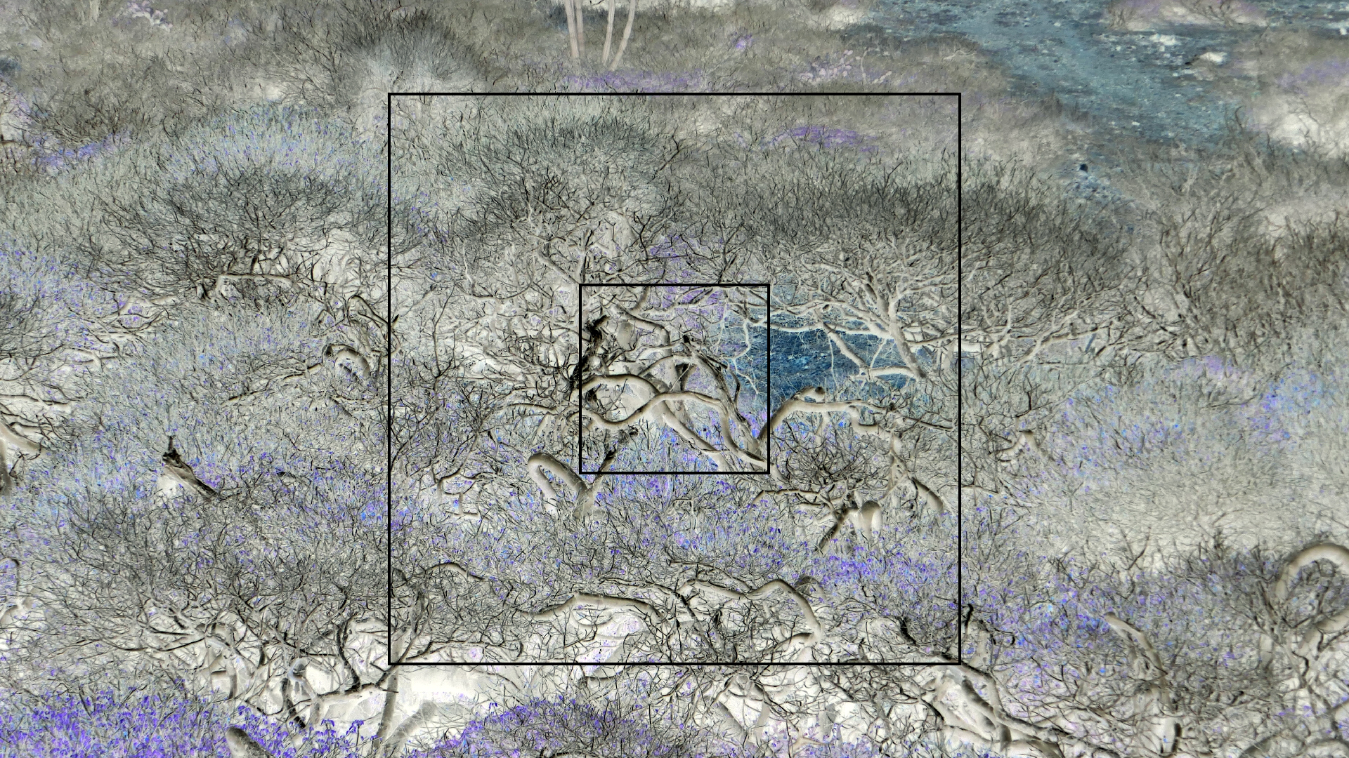 2022-04-23 Shete Boka Nationalpark (Foto, Video)