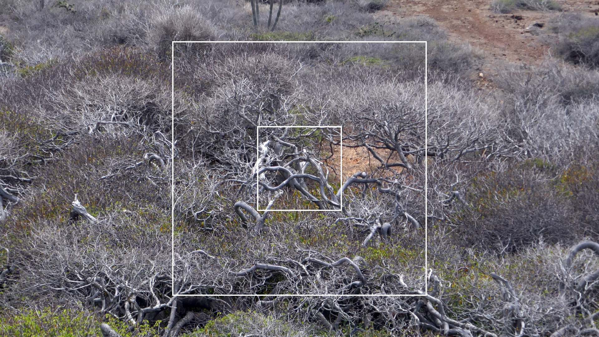 2022-04-23 Shete Boka Nationalpark (Foto, Video)