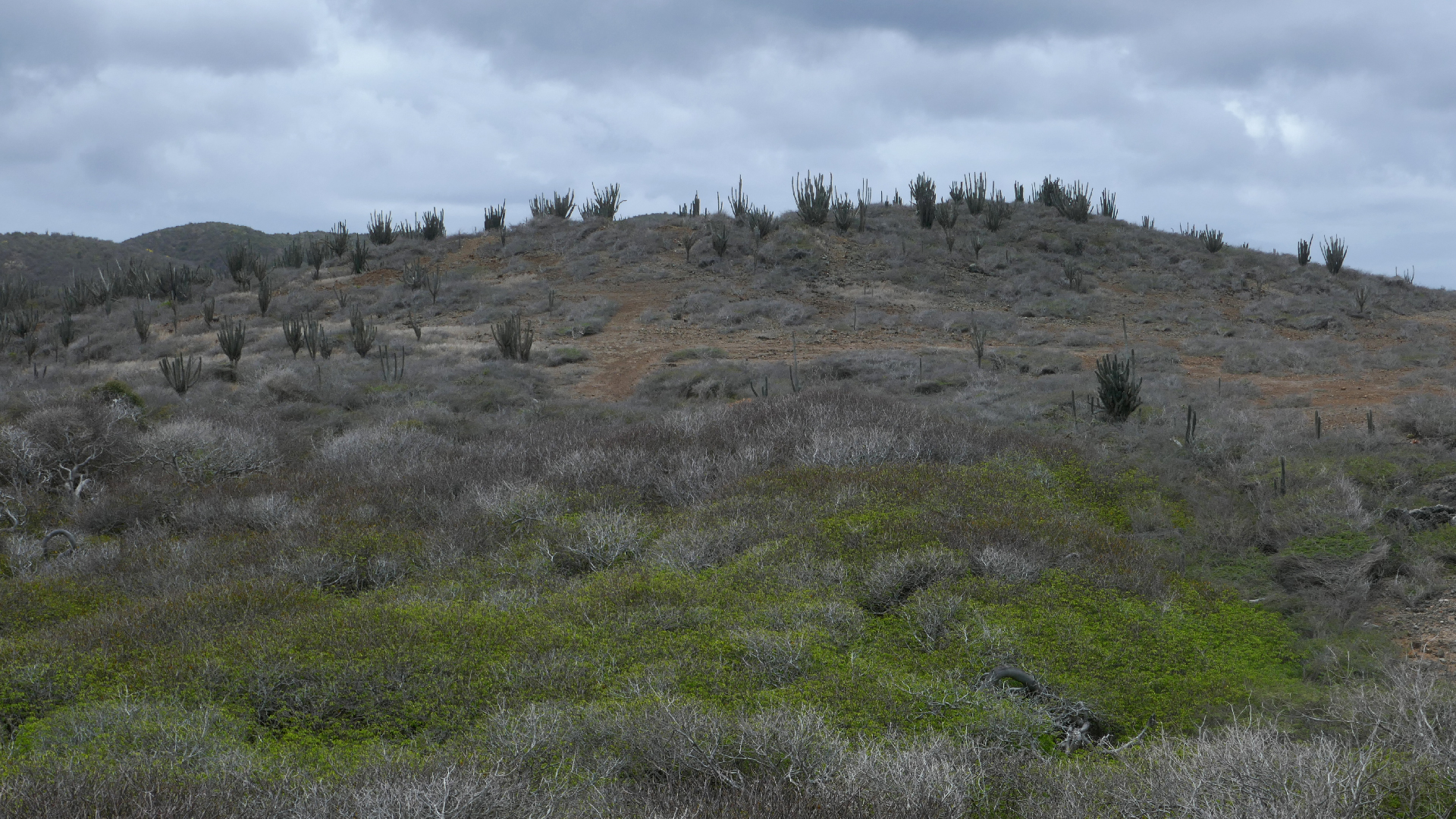 2022-04-23 Shete Boka Nationalpark (Foto, Video)