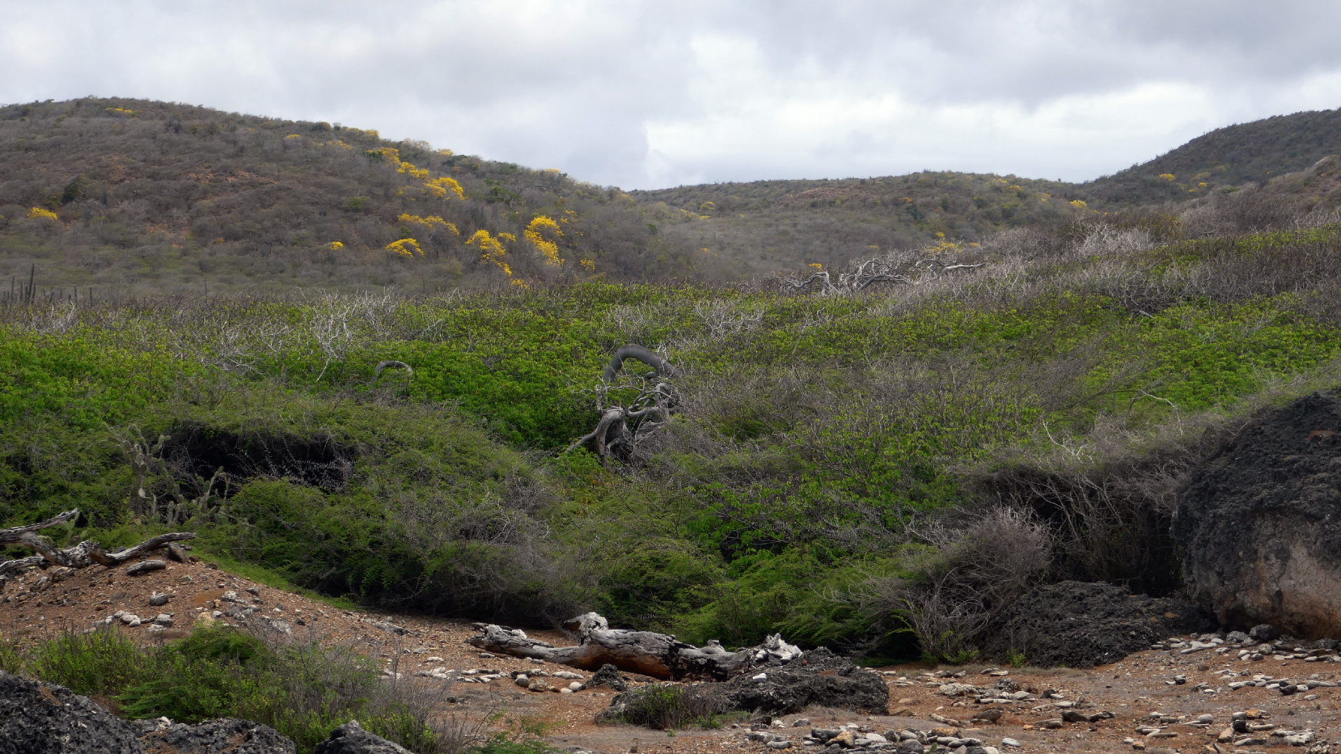 2022-04-23 Shete Boka Nationalpark (Foto, Video)
