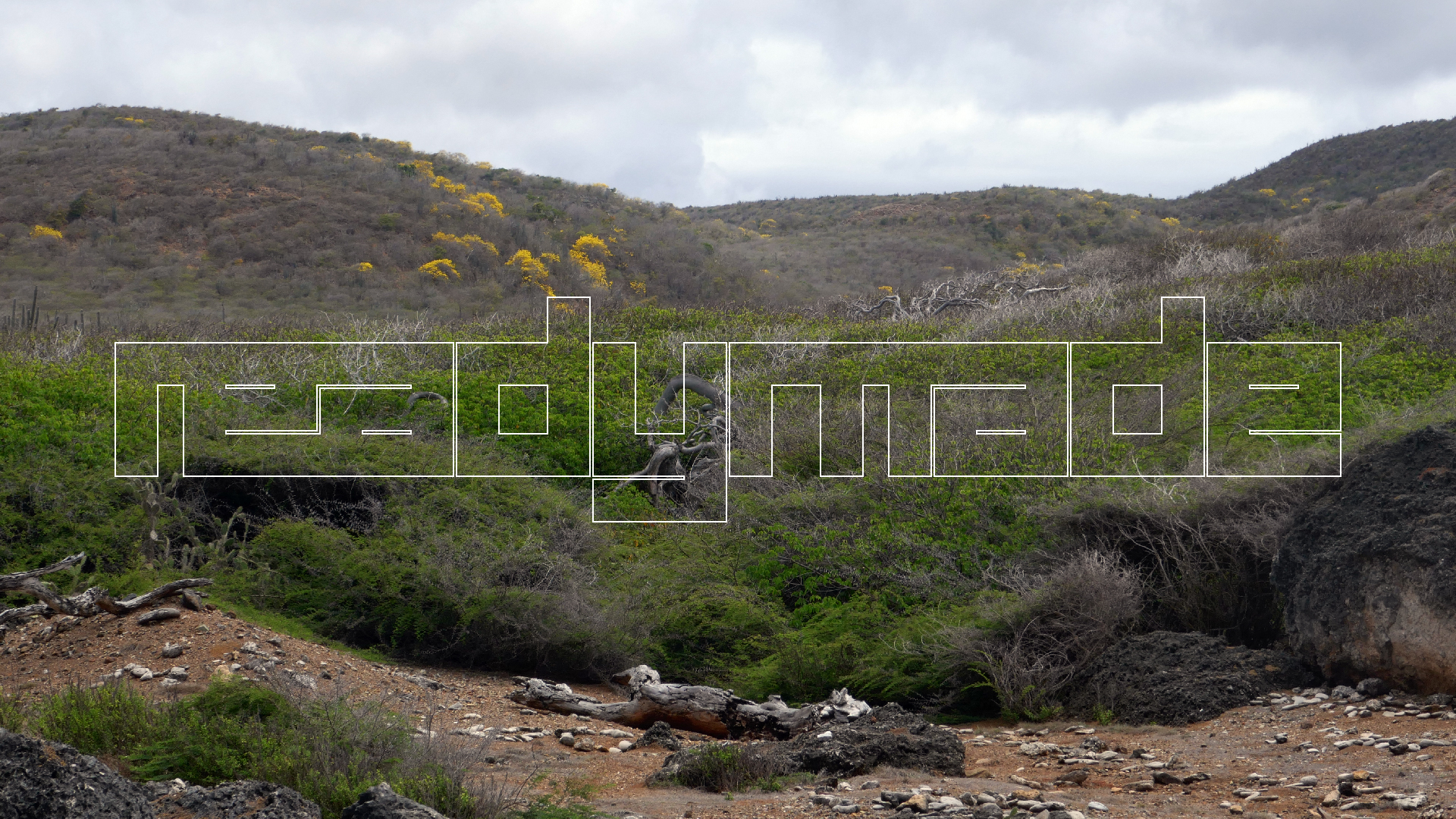 2022-04-23 Shete Boka Nationalpark (Foto, Video)