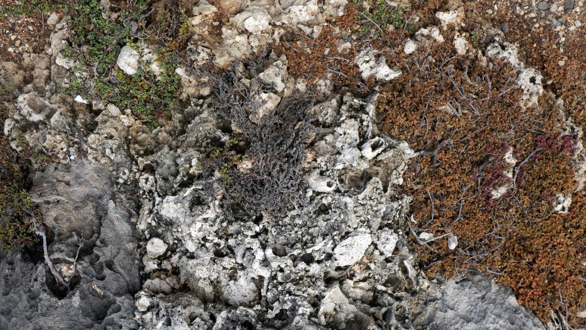 2022-04-23 Shete Boka Nationalpark (Foto, Video)