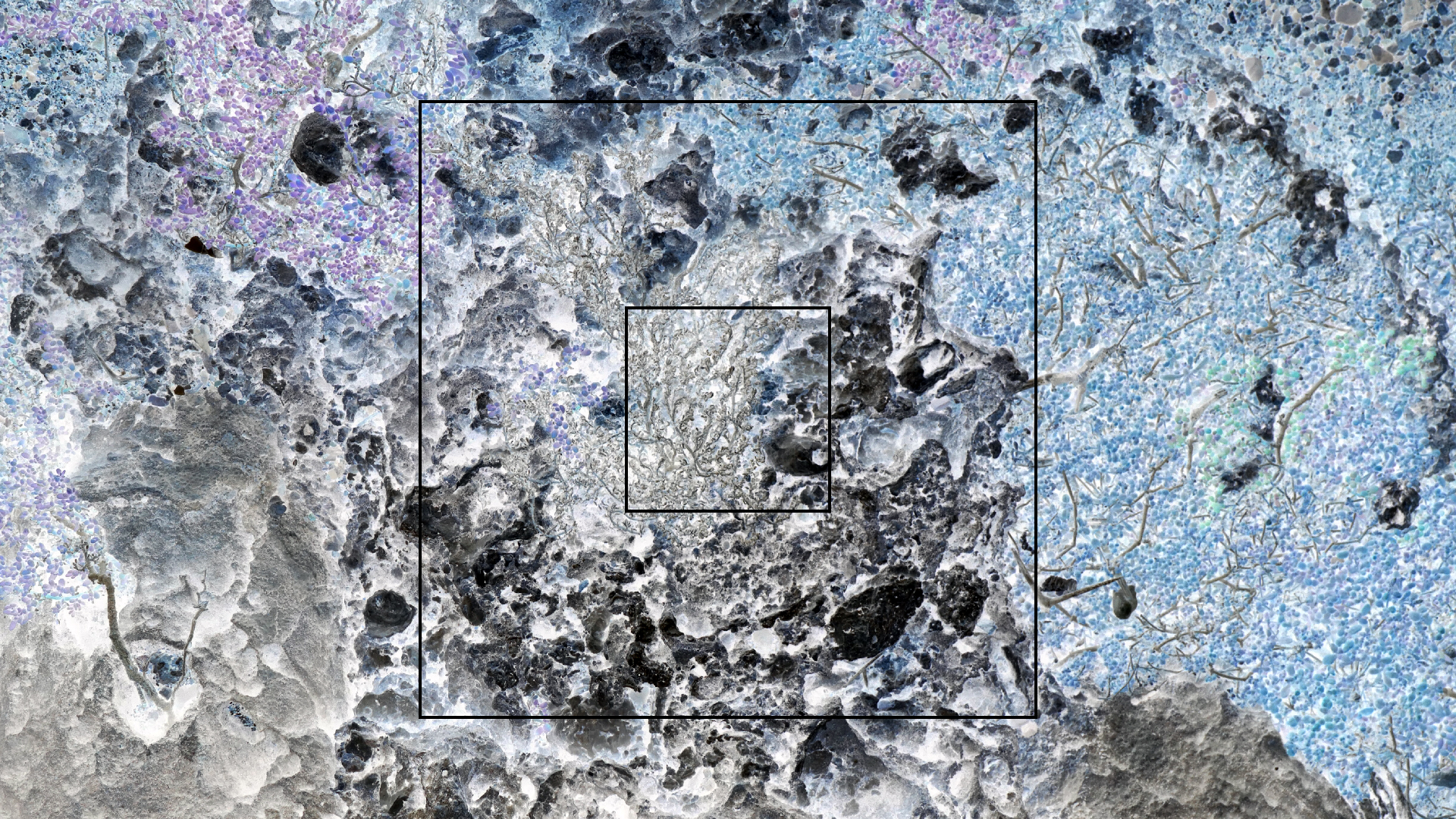 2022-04-23 Shete Boka Nationalpark (Foto, Video)