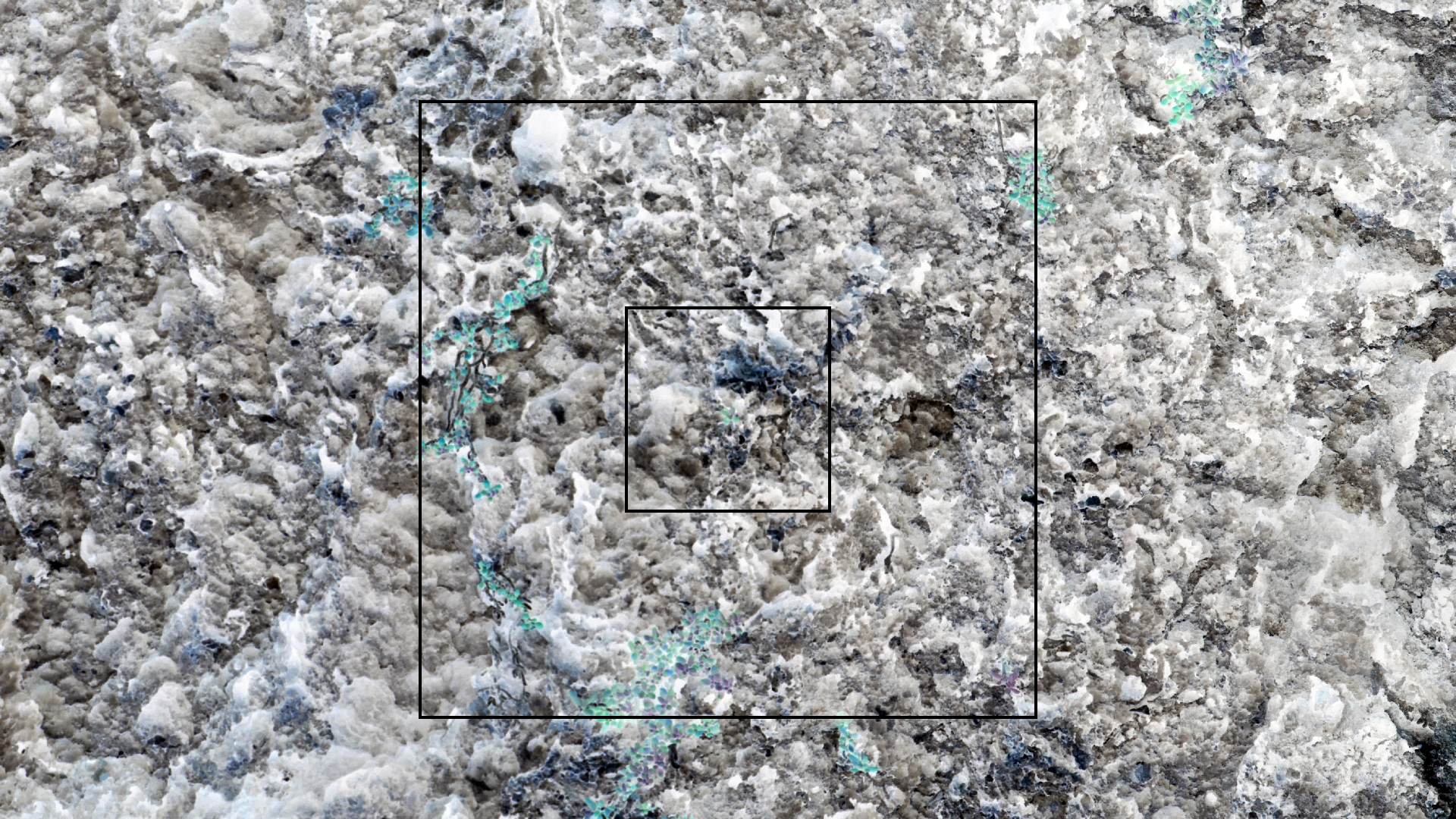 2022-04-23 Shete Boka Nationalpark (Foto, Video)