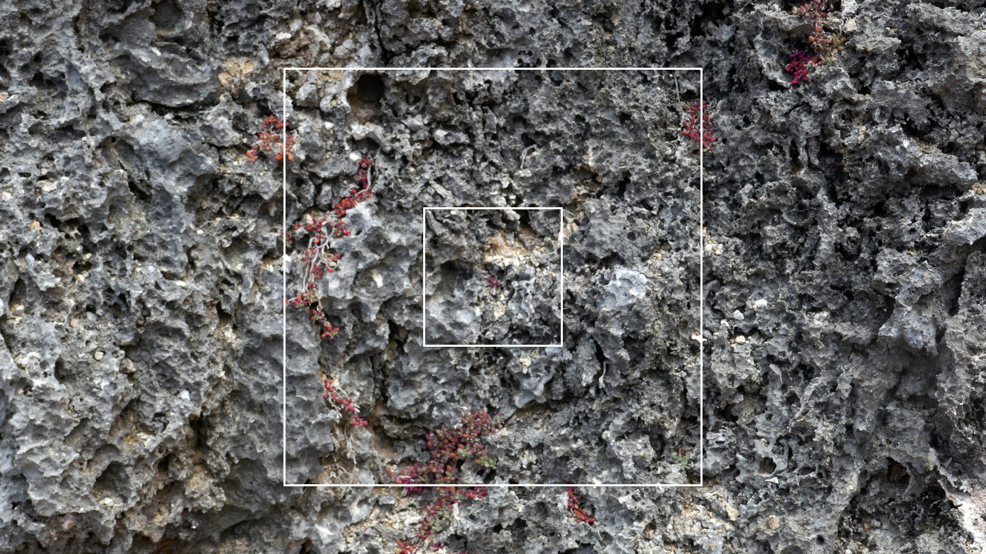 2022-04-23 Shete Boka Nationalpark (Foto, Video)