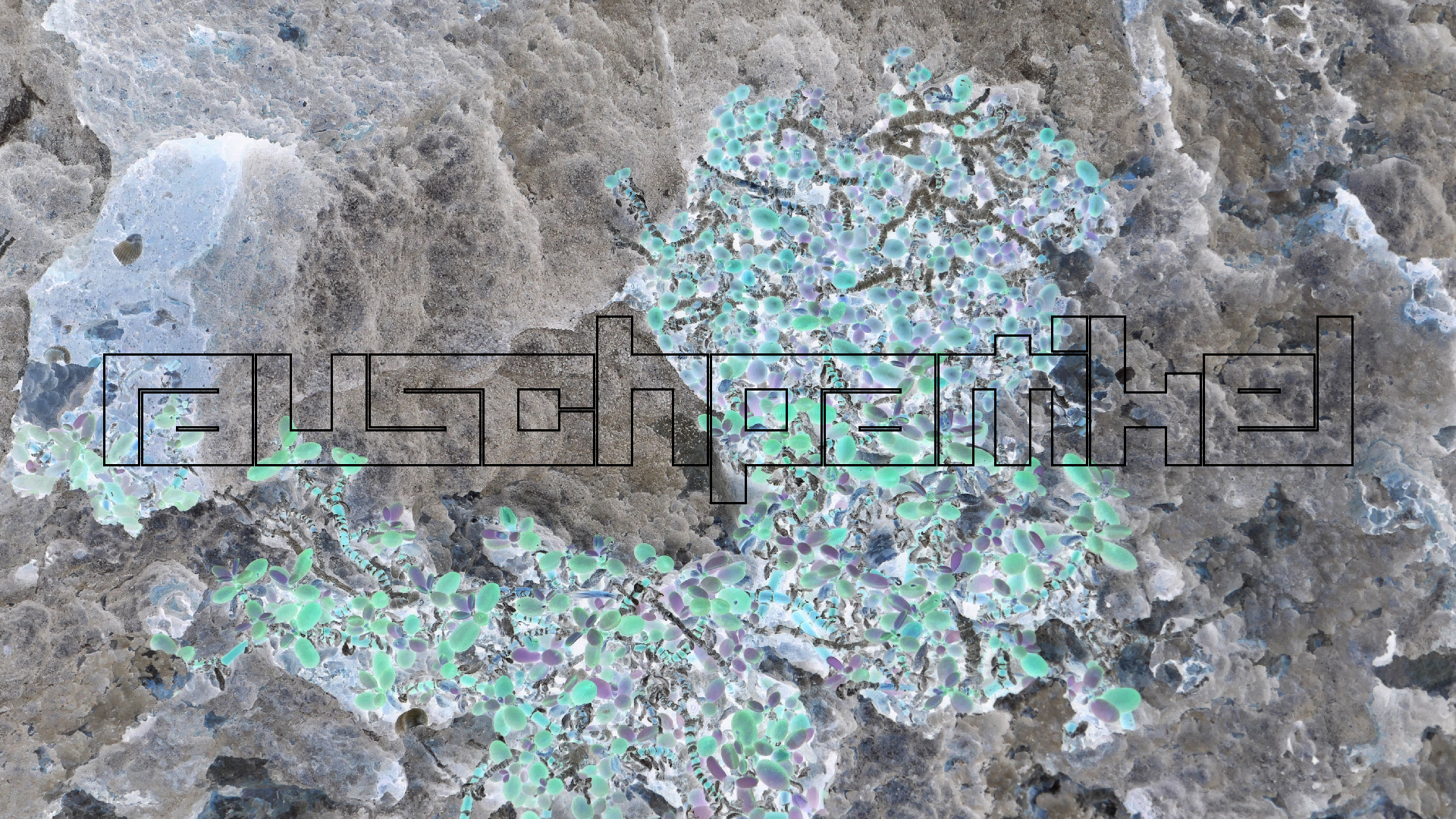 2022-04-23 Shete Boka Nationalpark (Foto, Video)