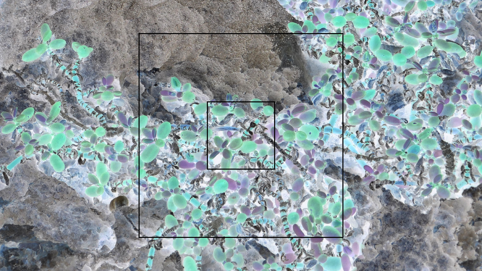 2022-04-23 Shete Boka Nationalpark (Foto, Video)