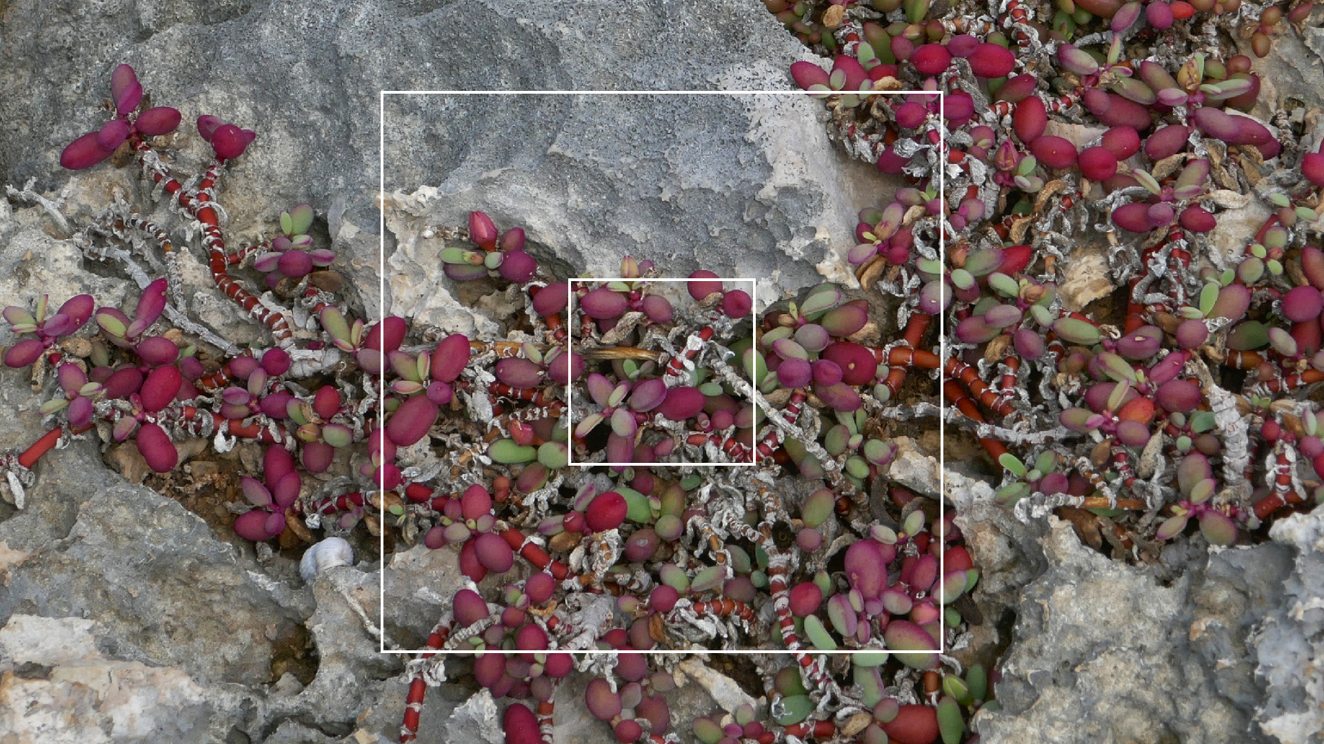 2022-04-23 Shete Boka Nationalpark (Foto, Video)