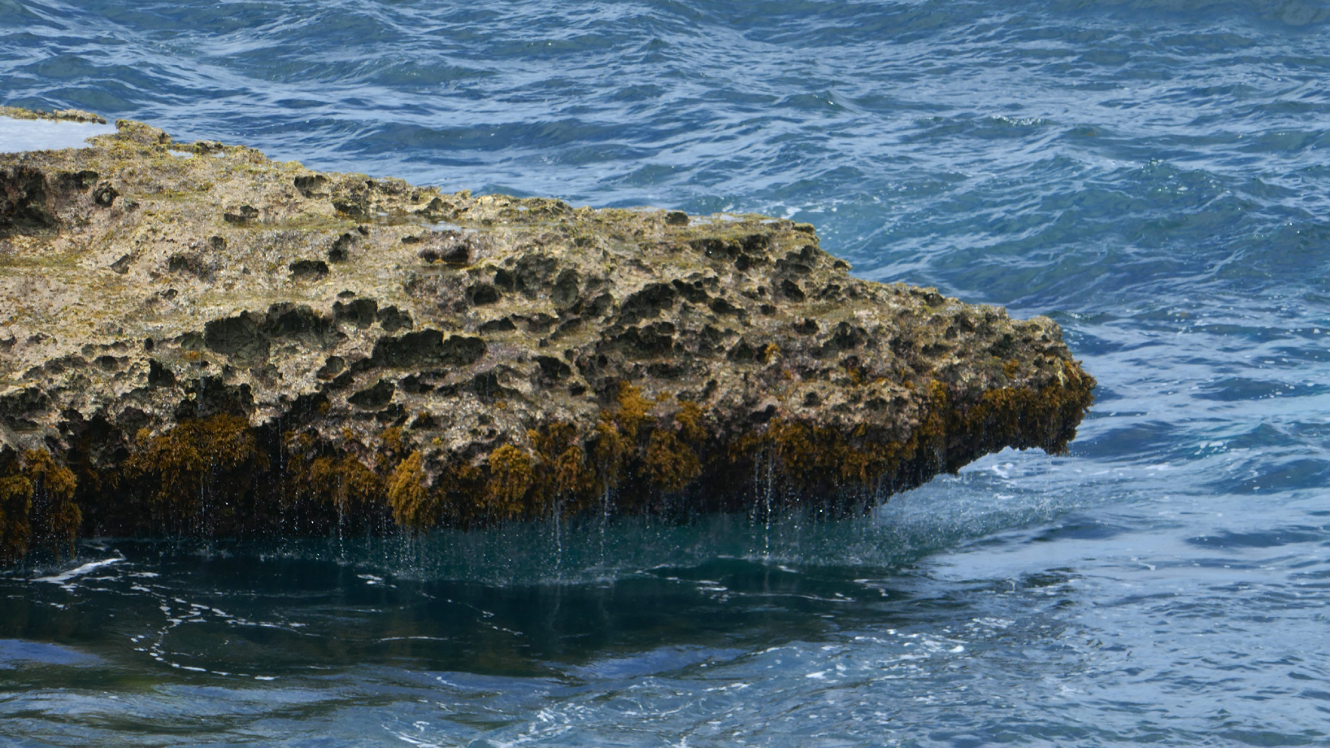 2022-04-23 Shete Boka Nationalpark (Foto, Video)