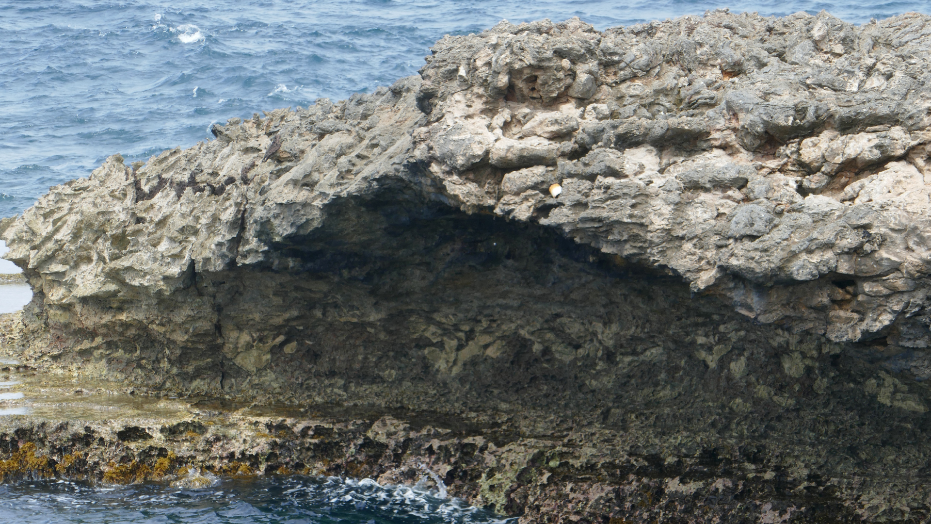 2022-04-23 Shete Boka Nationalpark (Foto, Video)