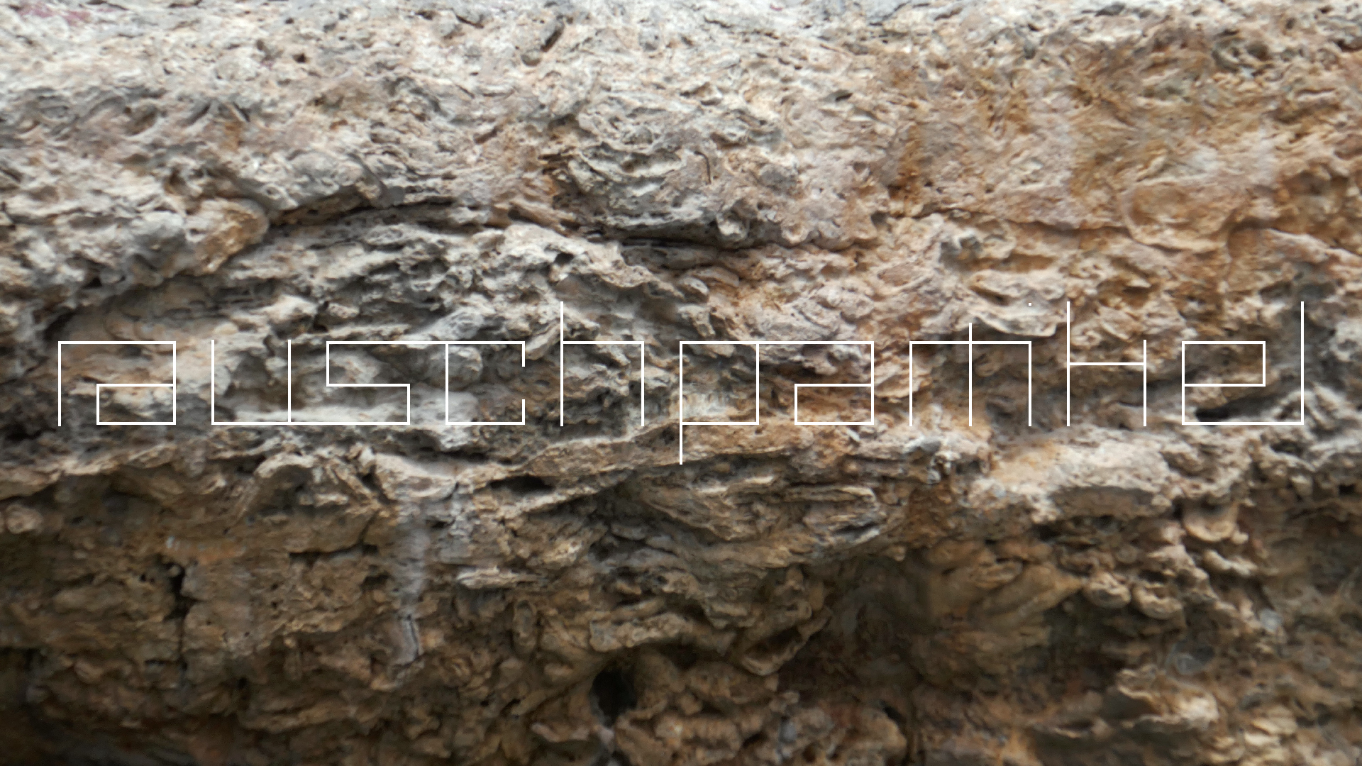 2022-04-23 Shete Boka Nationalpark (Foto, Video)