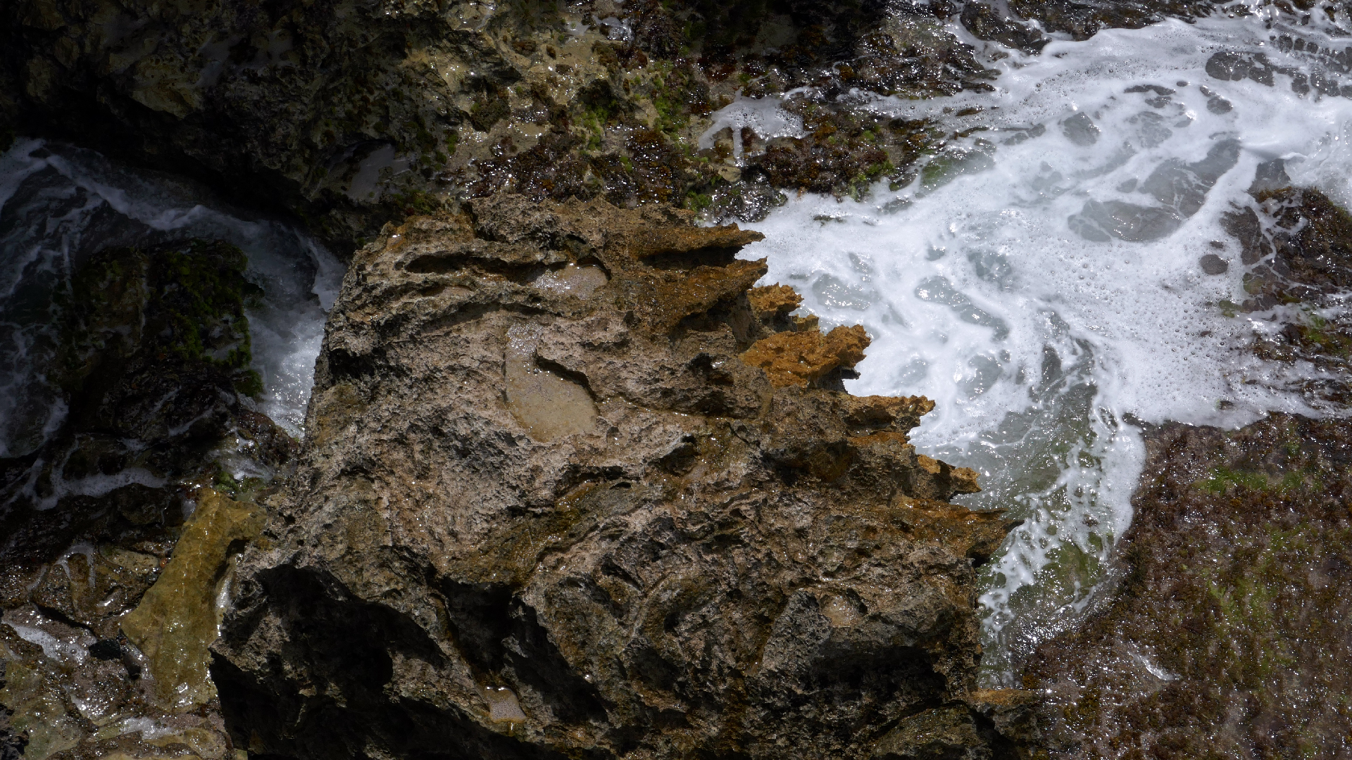 2022-04-23 Shete Boka Nationalpark (Foto, Video)